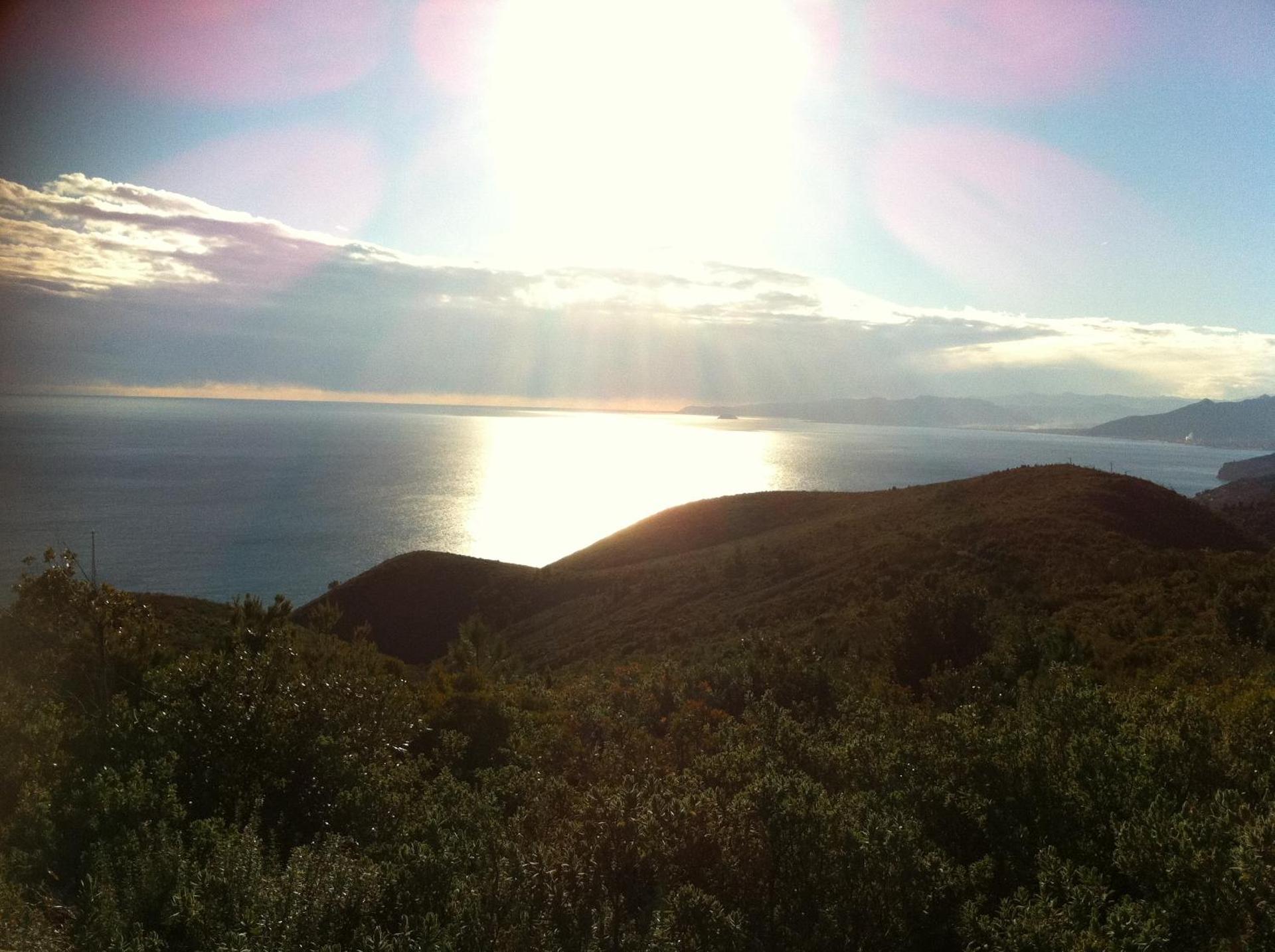 Residence Holidays - Photo 250