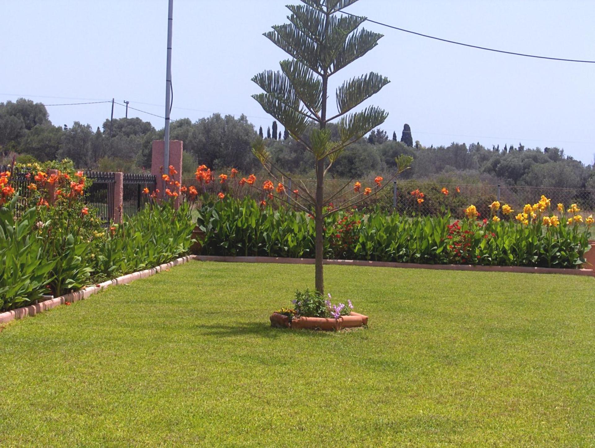 Paradise Studios - Photo 160