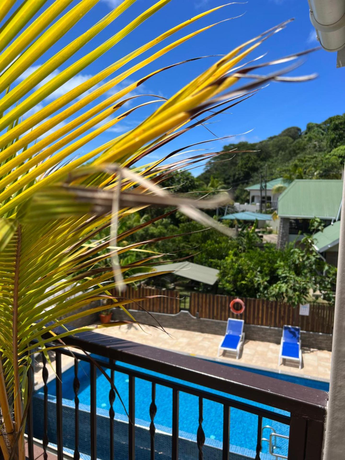 The Runway Lodge - Photo 13