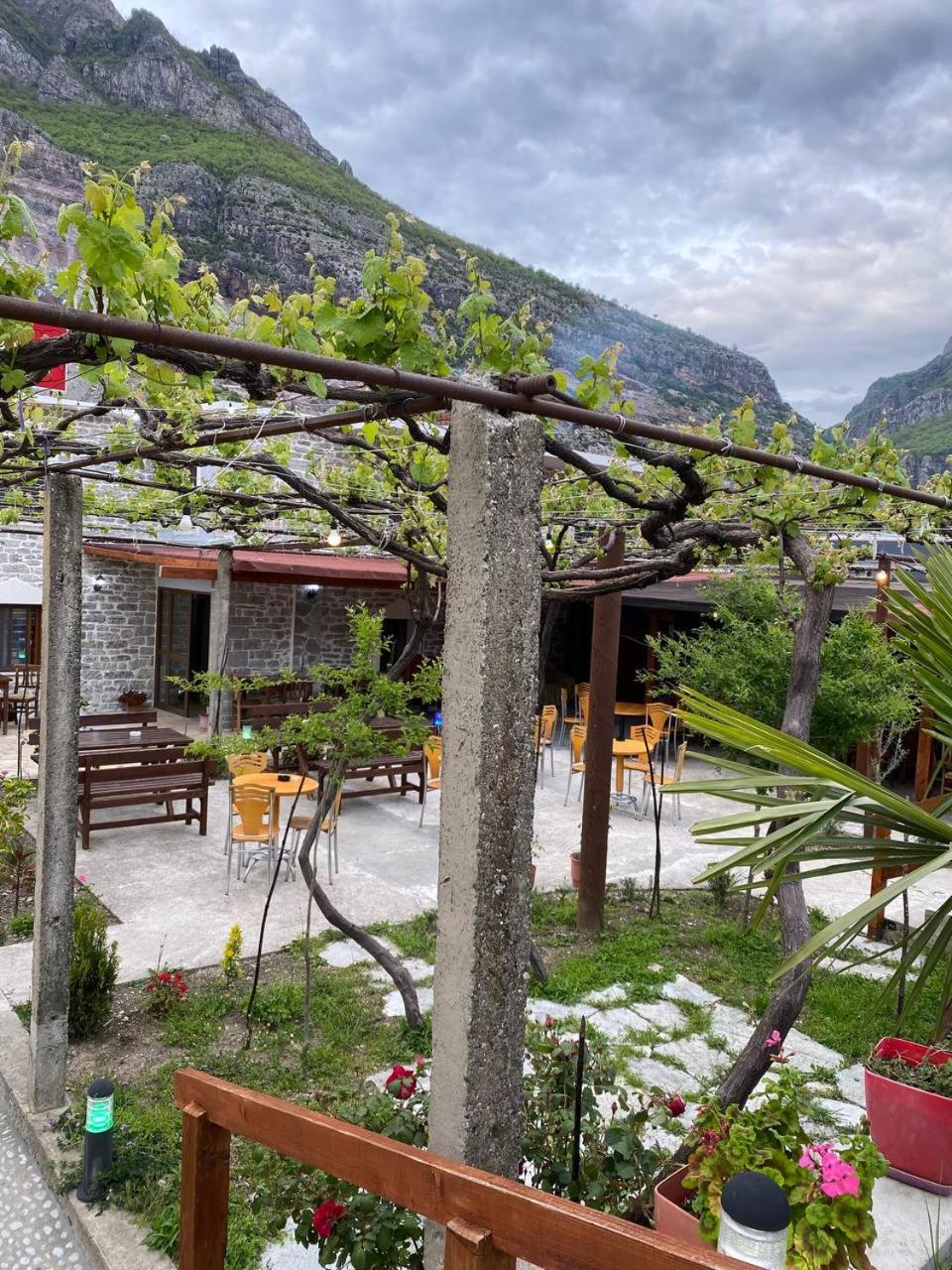 Kulla e Vjeter (Bar Restaurant, Guesthouse, Parking and Camping) - Photo 15