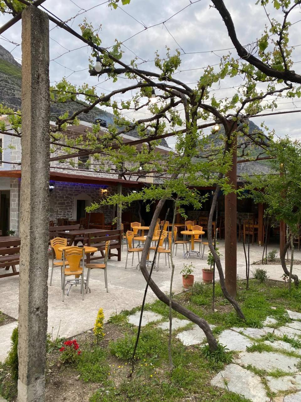 Kulla e Vjeter (Bar Restaurant, Guesthouse, Parking and Camping) - Photo 2