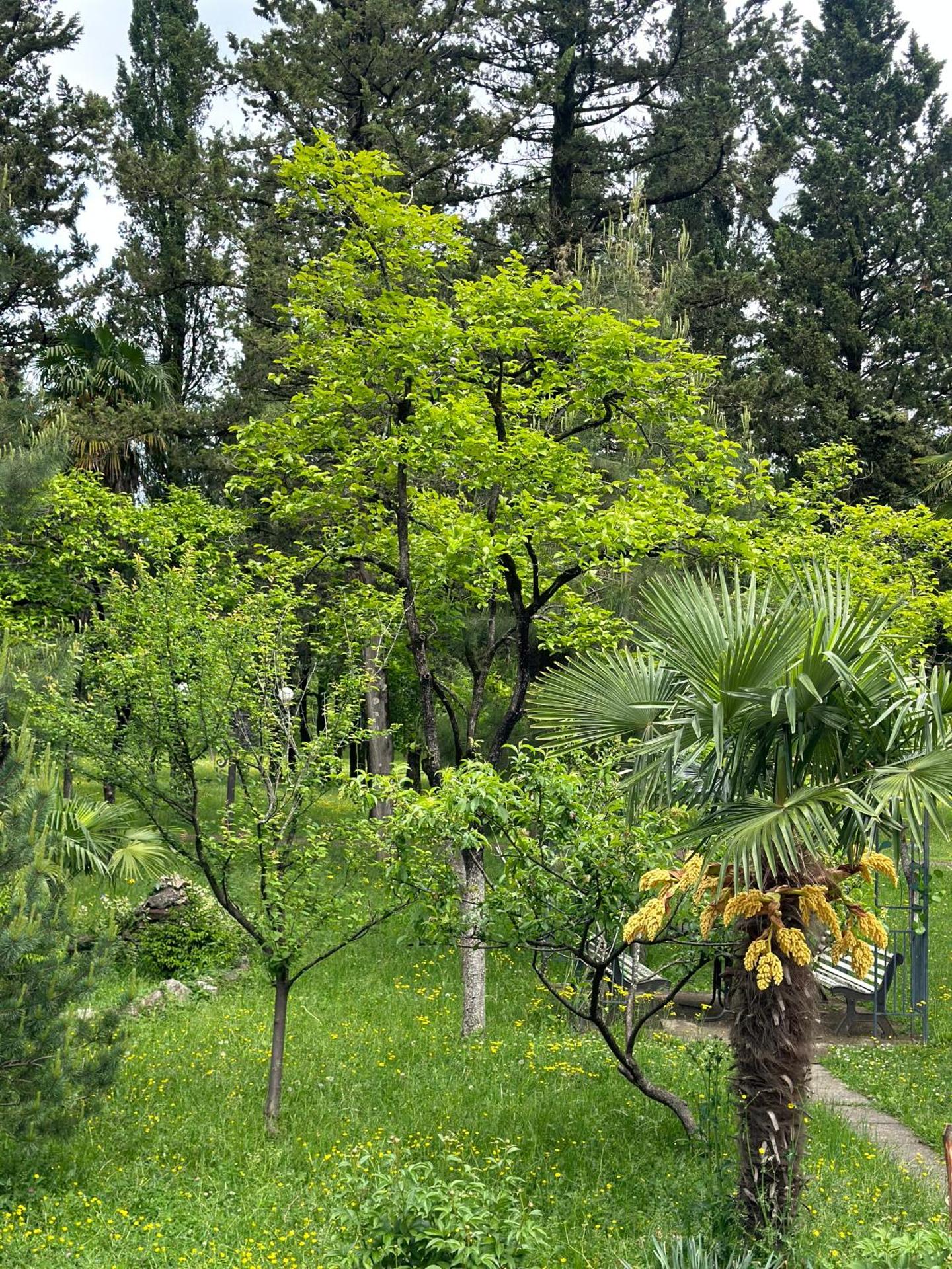 Park Hotel Imeri kutaisi - Photo 81