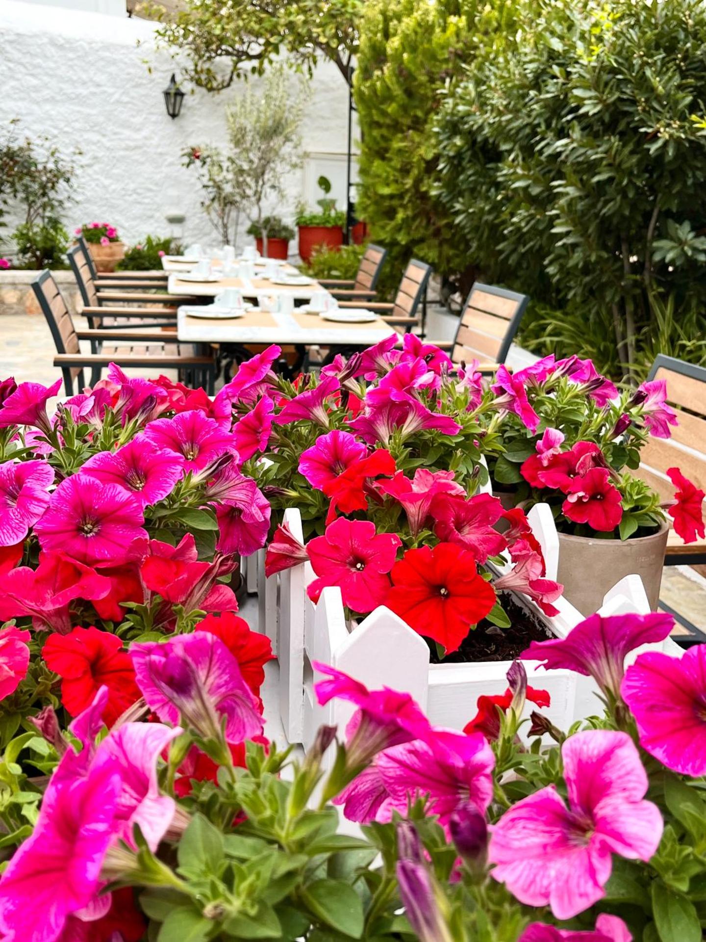 Mistral Hotel - Photo 33