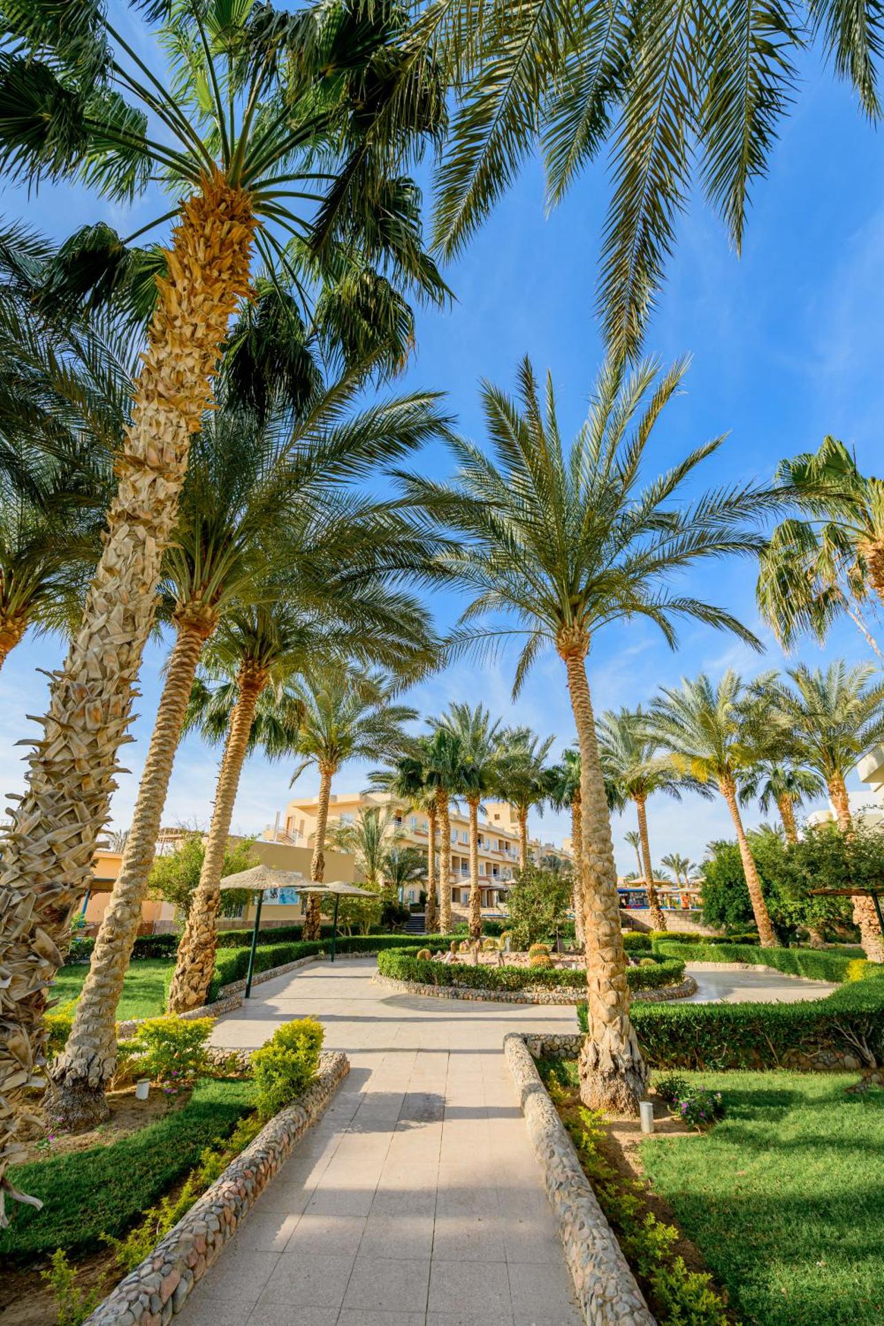 Golden Beach Resort - Photo 126