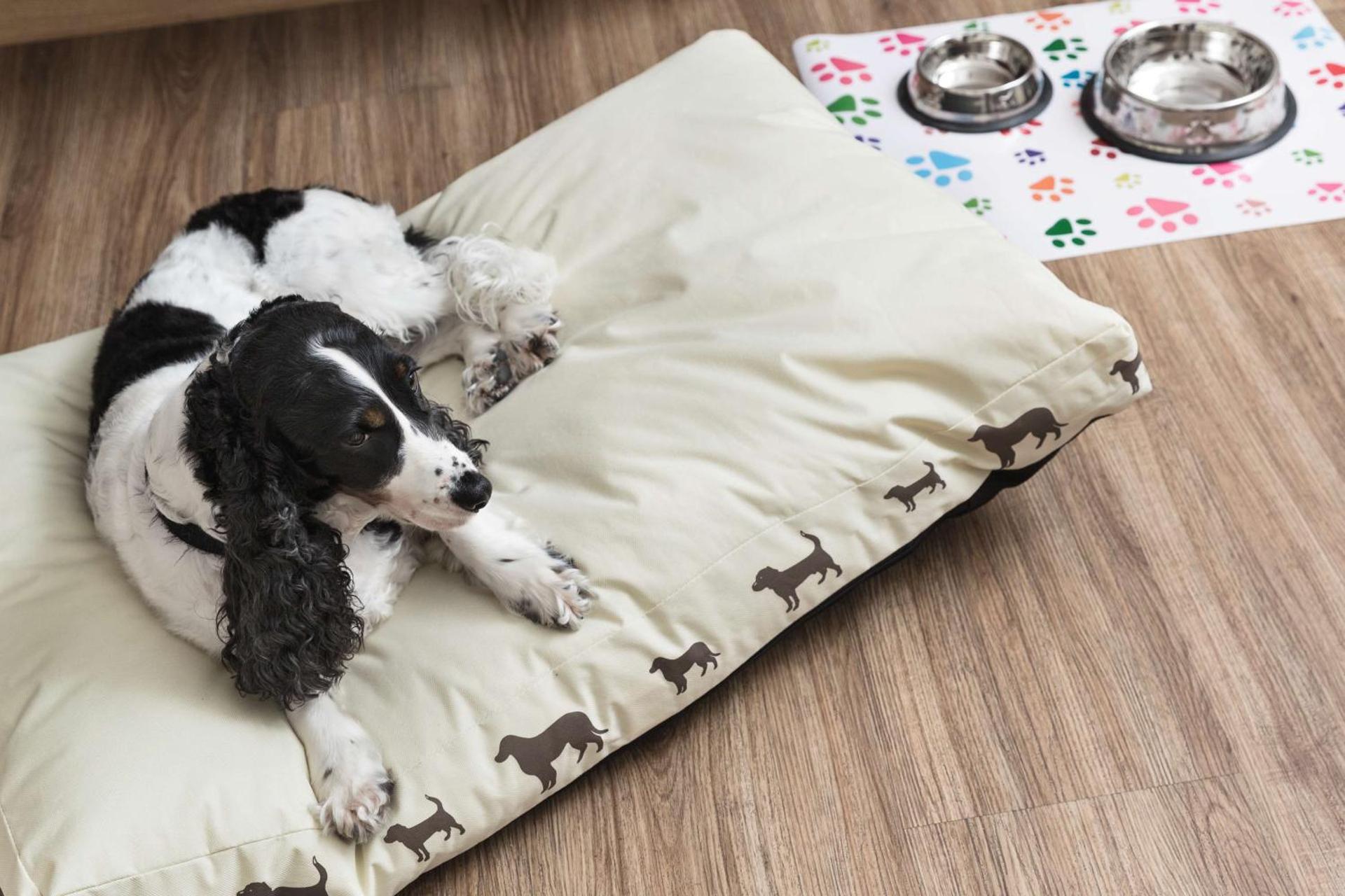 Best Western Plus Park Hotel Pordenone - Photo 19