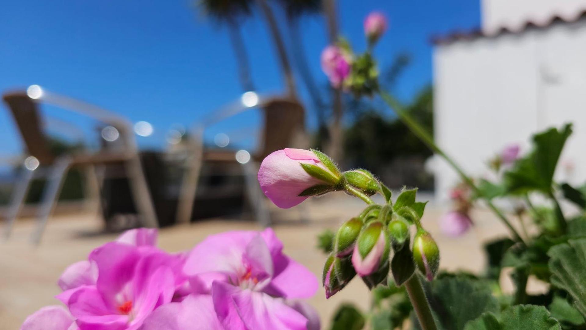 Geo Houses Milos - Photo 100