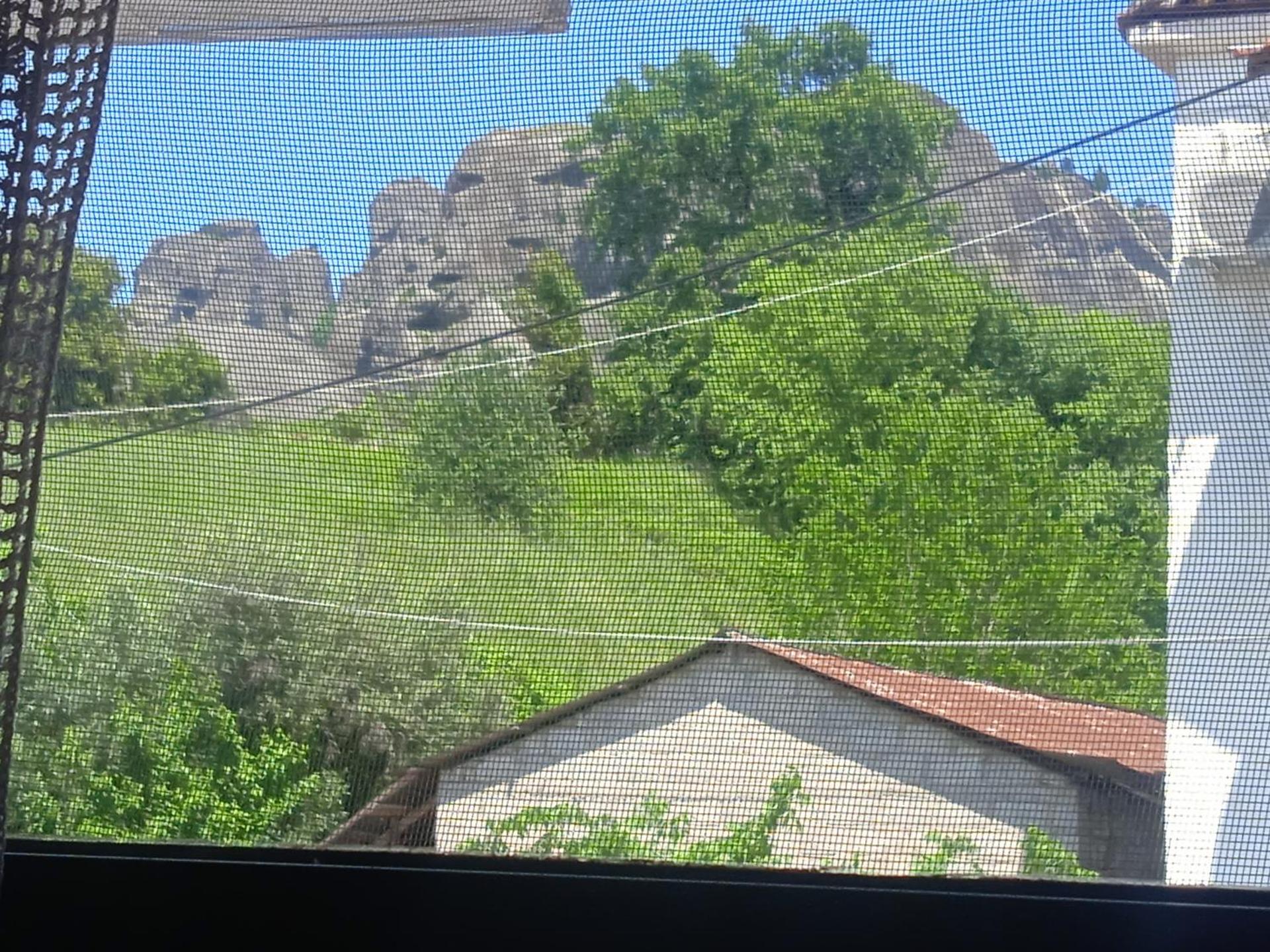 Kostis Hause - Photo 30