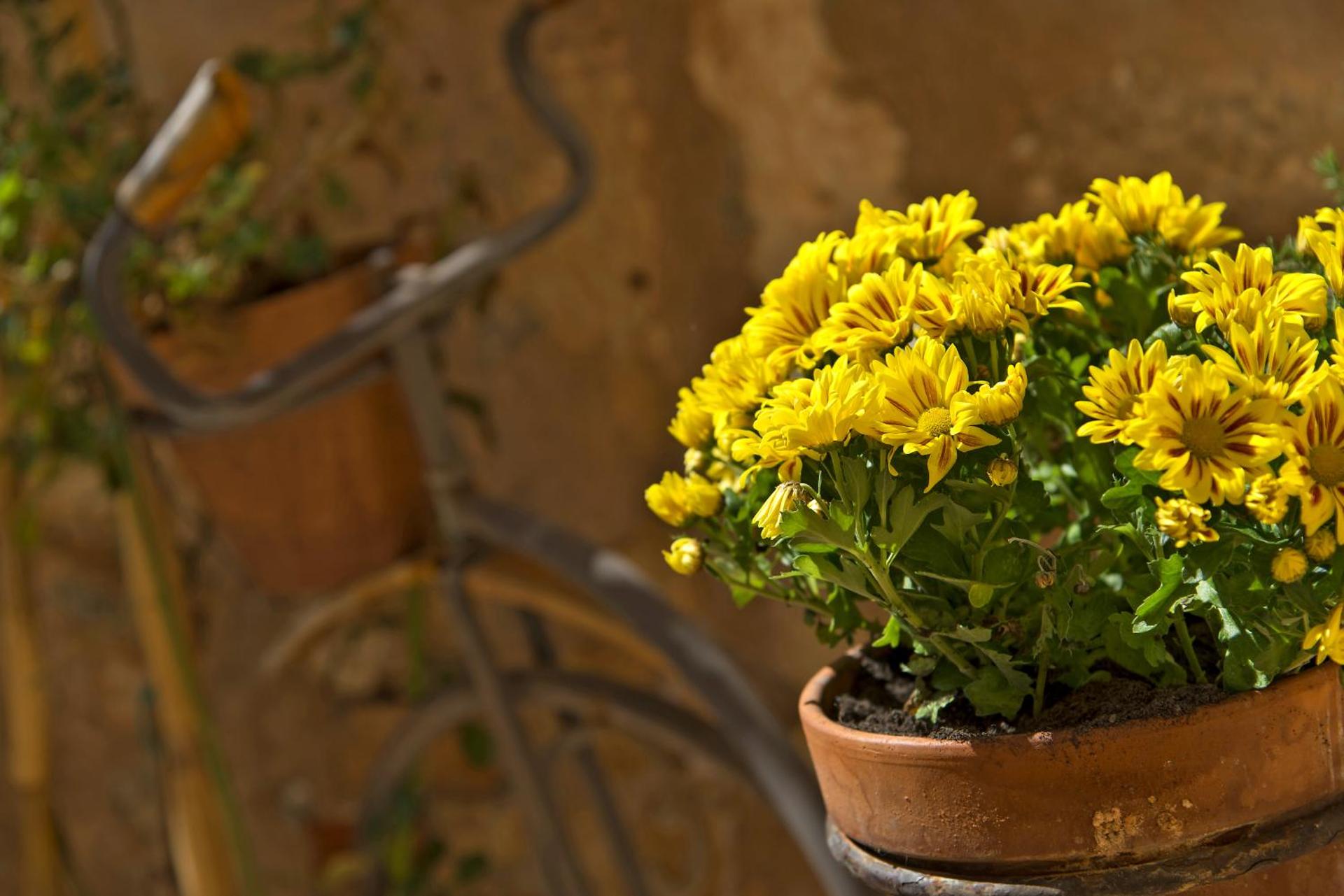 Ionas Boutique Hotel - Photo 88