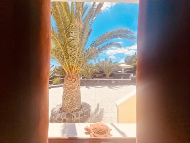 Villa Danezis - Photo 15