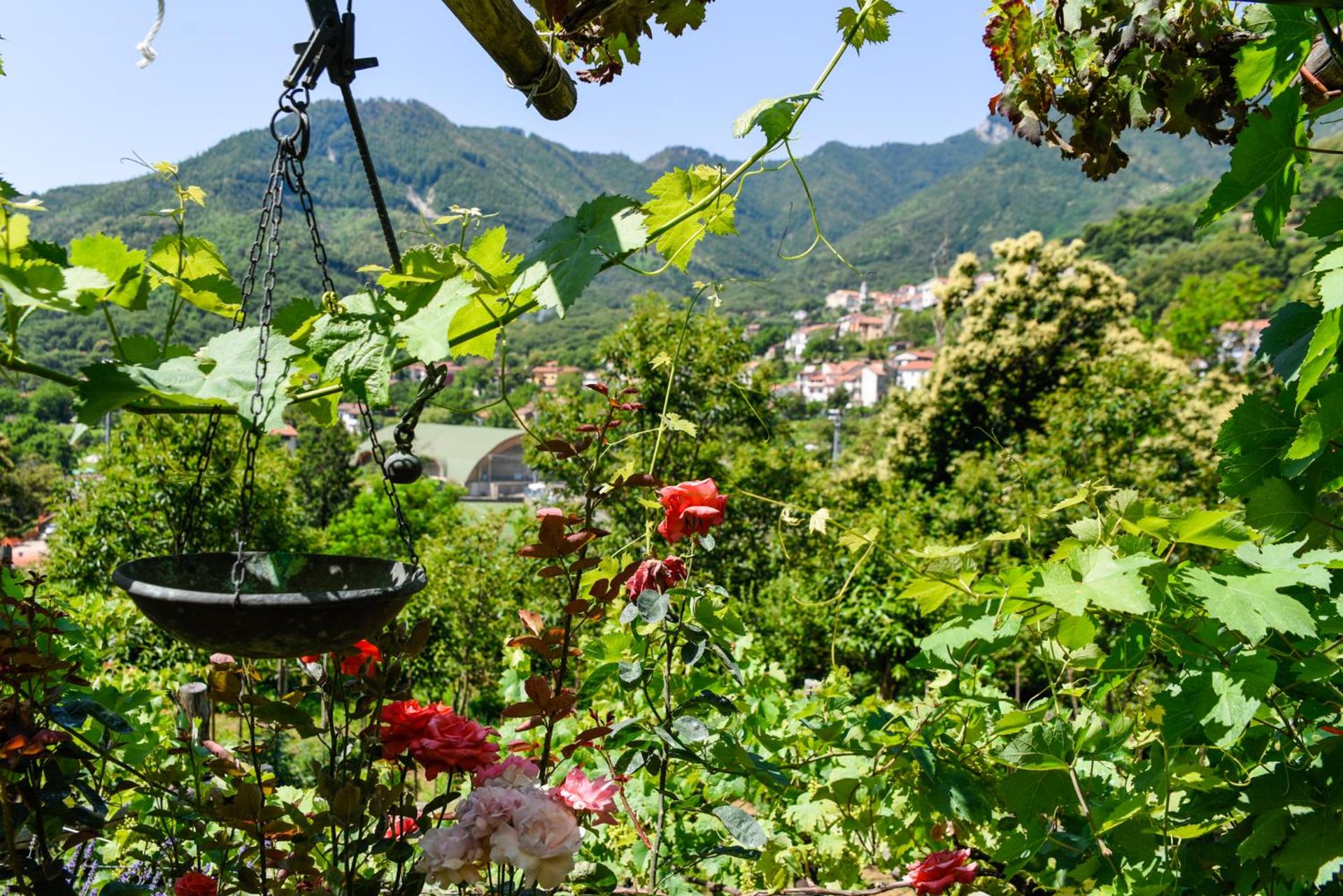 Agriturismo Il Tintore - Photo 18