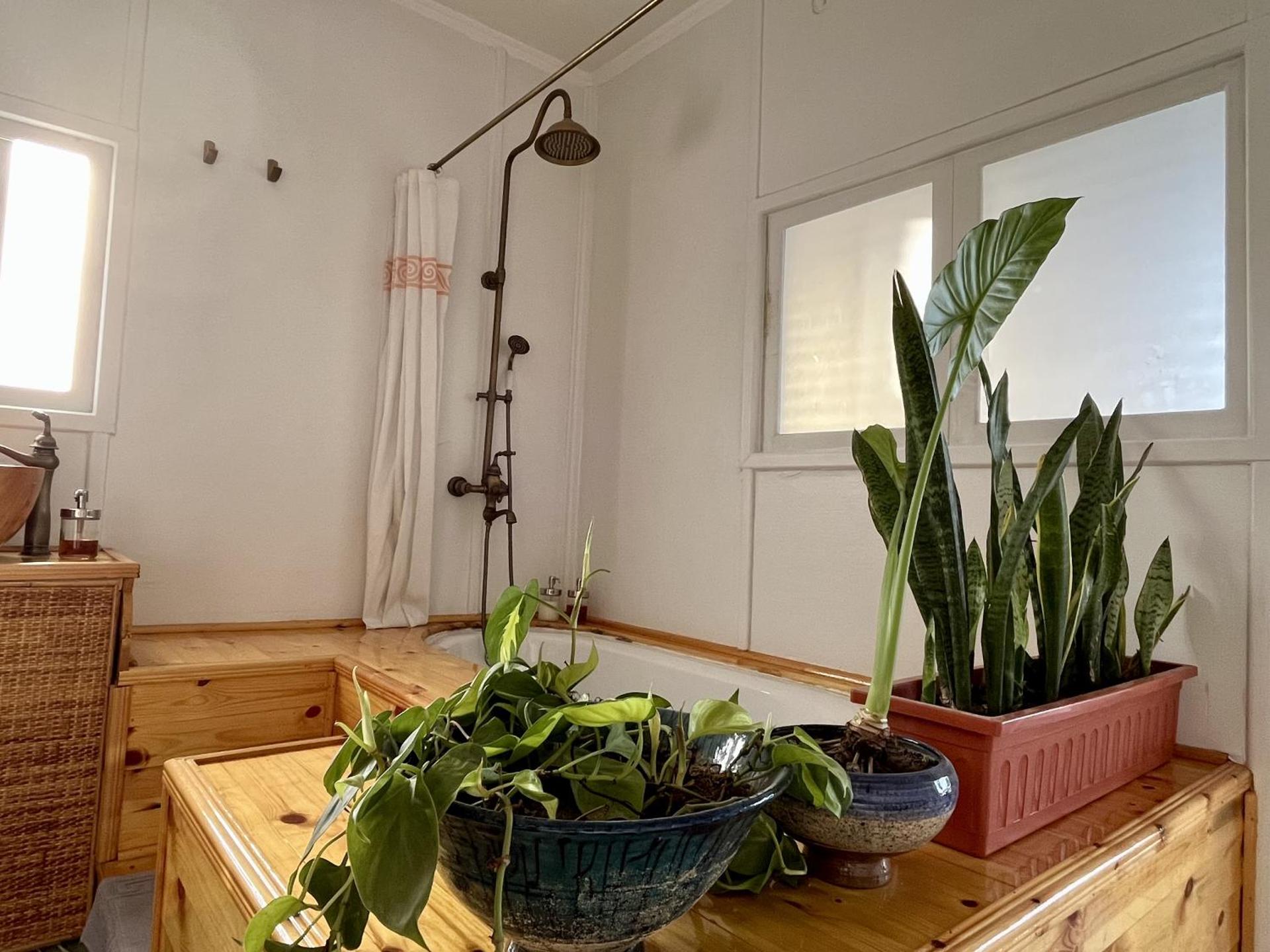 Houseboat65 - Historic home on the Nile - Central Cairo - Photo 50