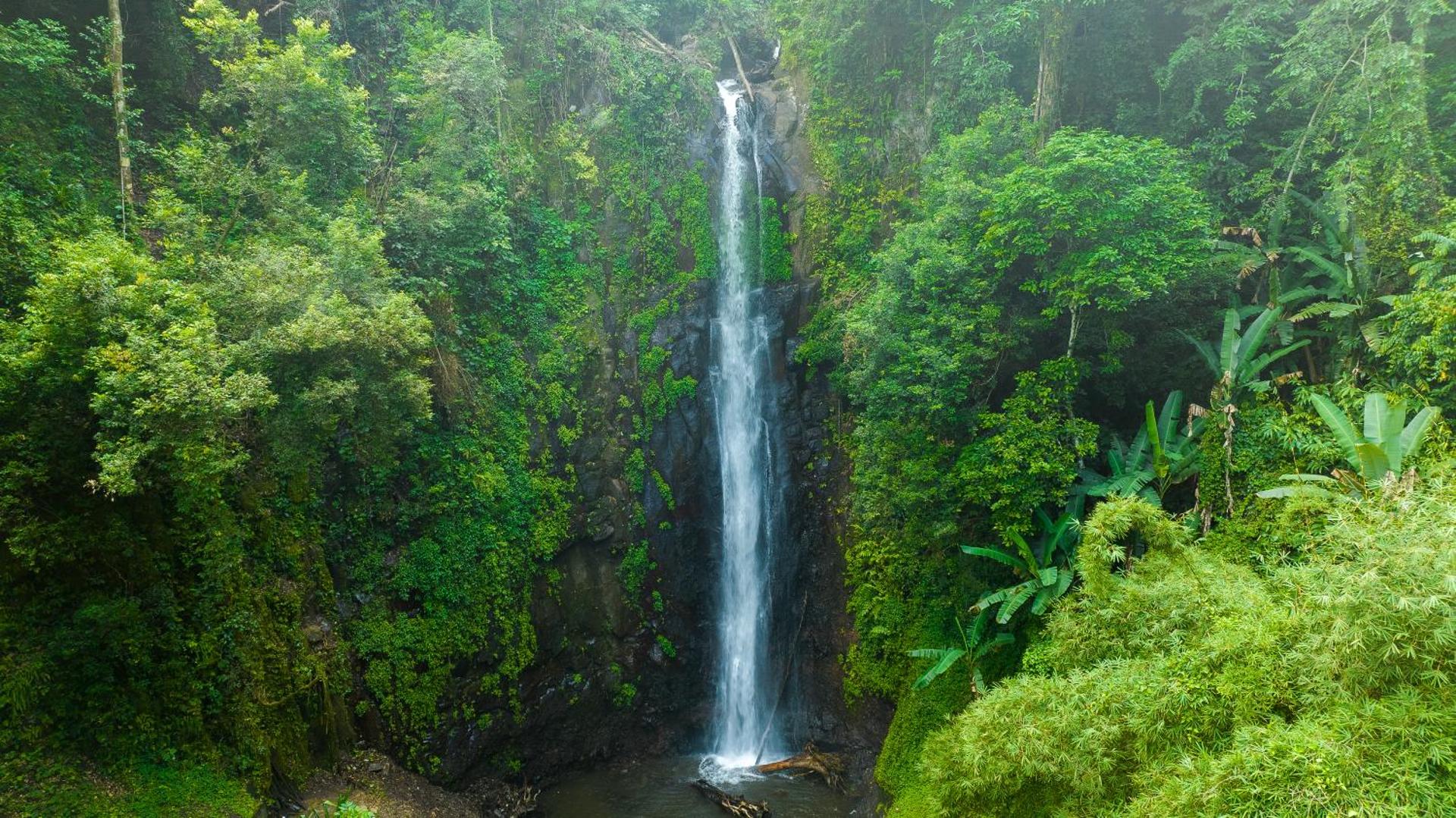 Omali São Tomé - Photo 46