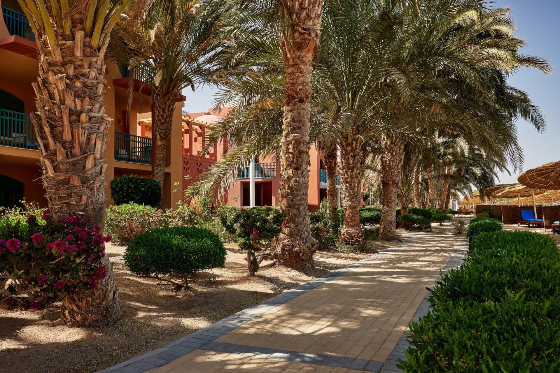Sheraton Miramar Resort El Gouna - Photo 38