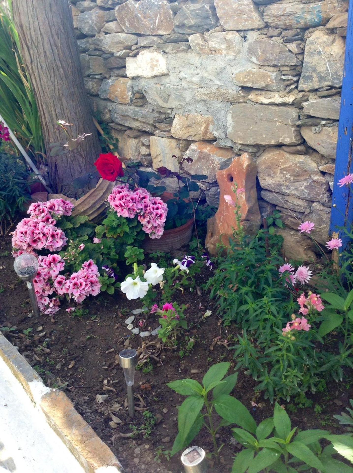 Pension Galini - Photo 4