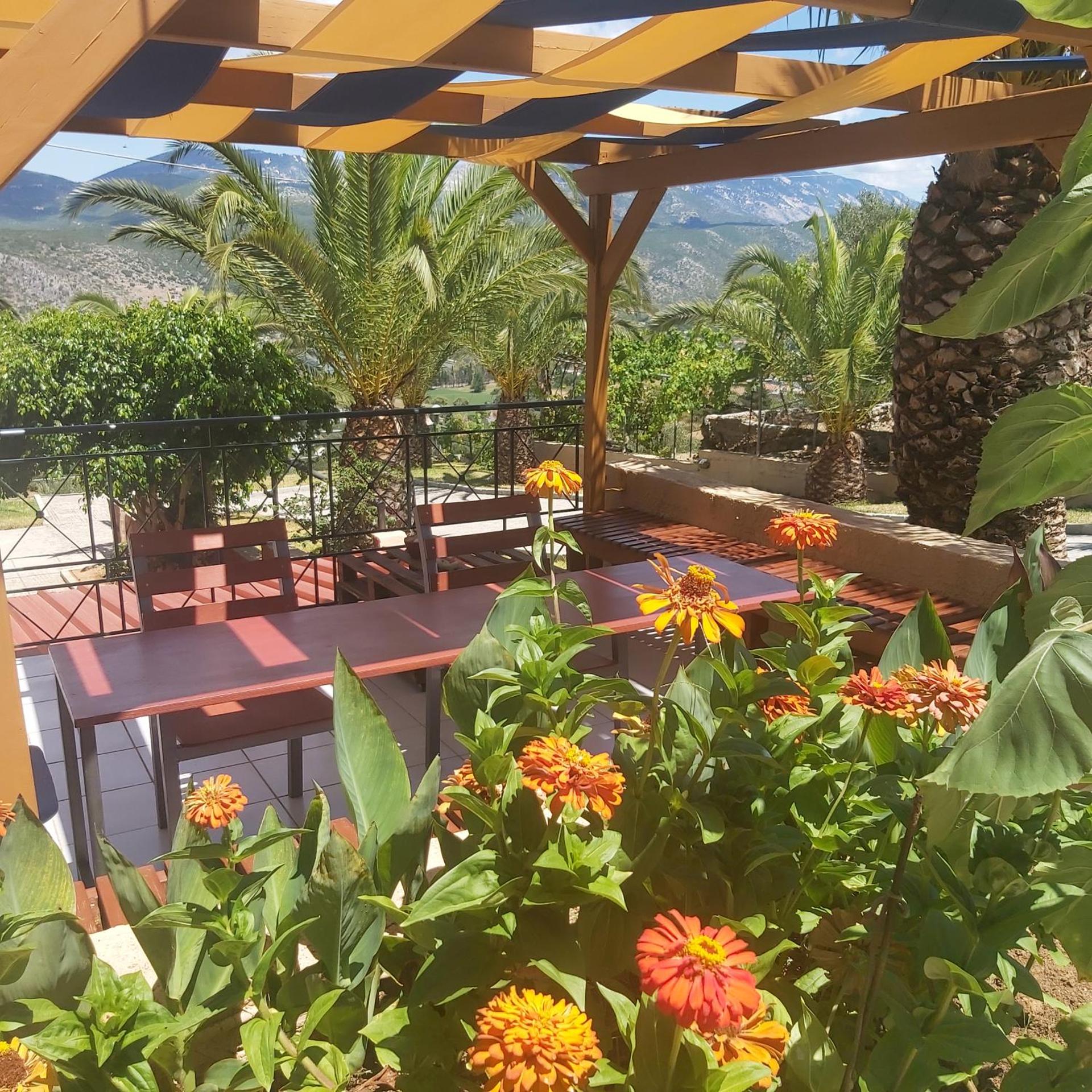 Studios Rania - Rania Studios & Apartments - Photo 49