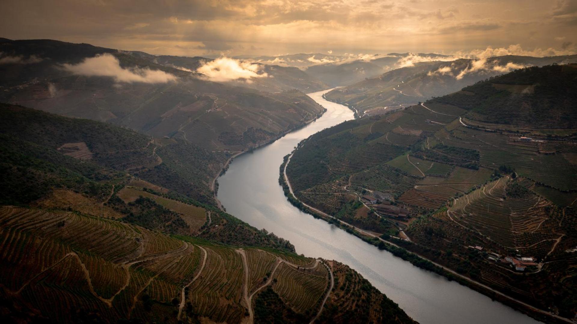 Hotel Folgosa Douro - Photo 5