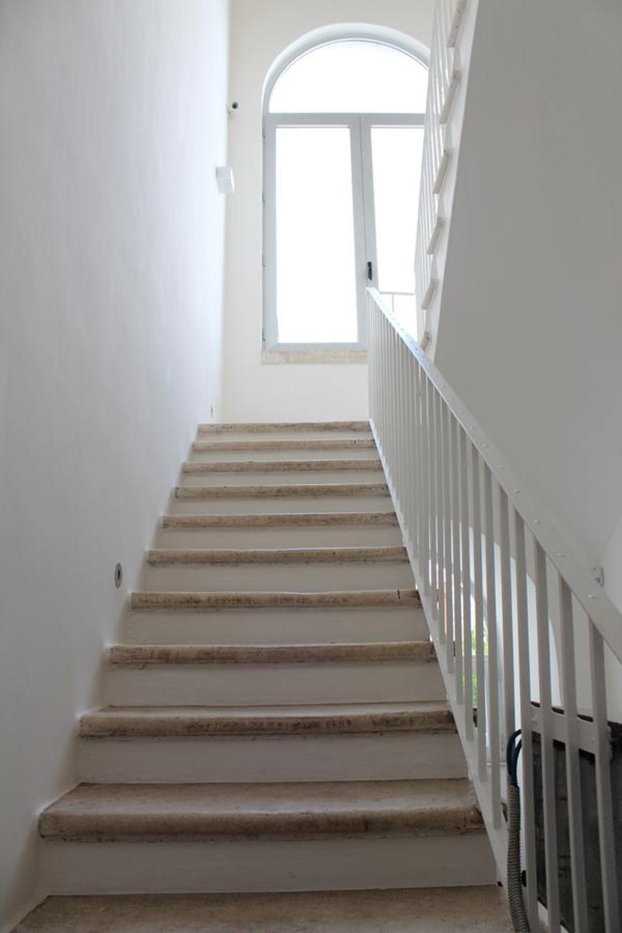 Tenuta il Bosco - Photo 77