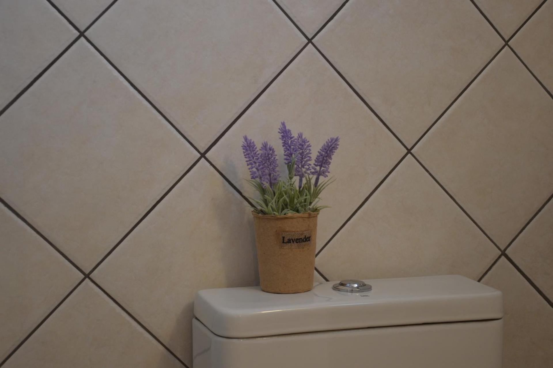 Cute Studio in Milos - Photo 19