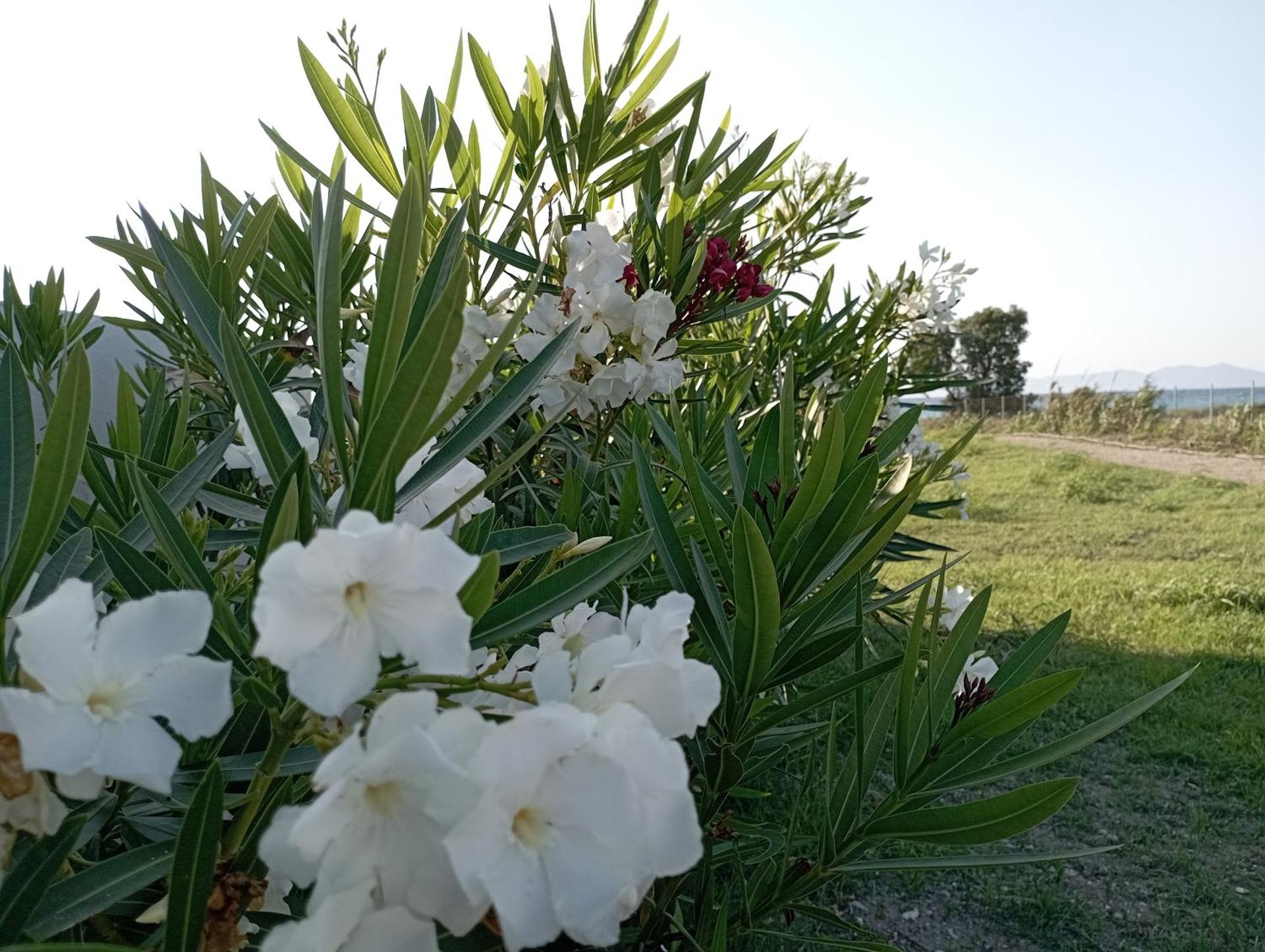 Nautilus Beach House - Photo 92