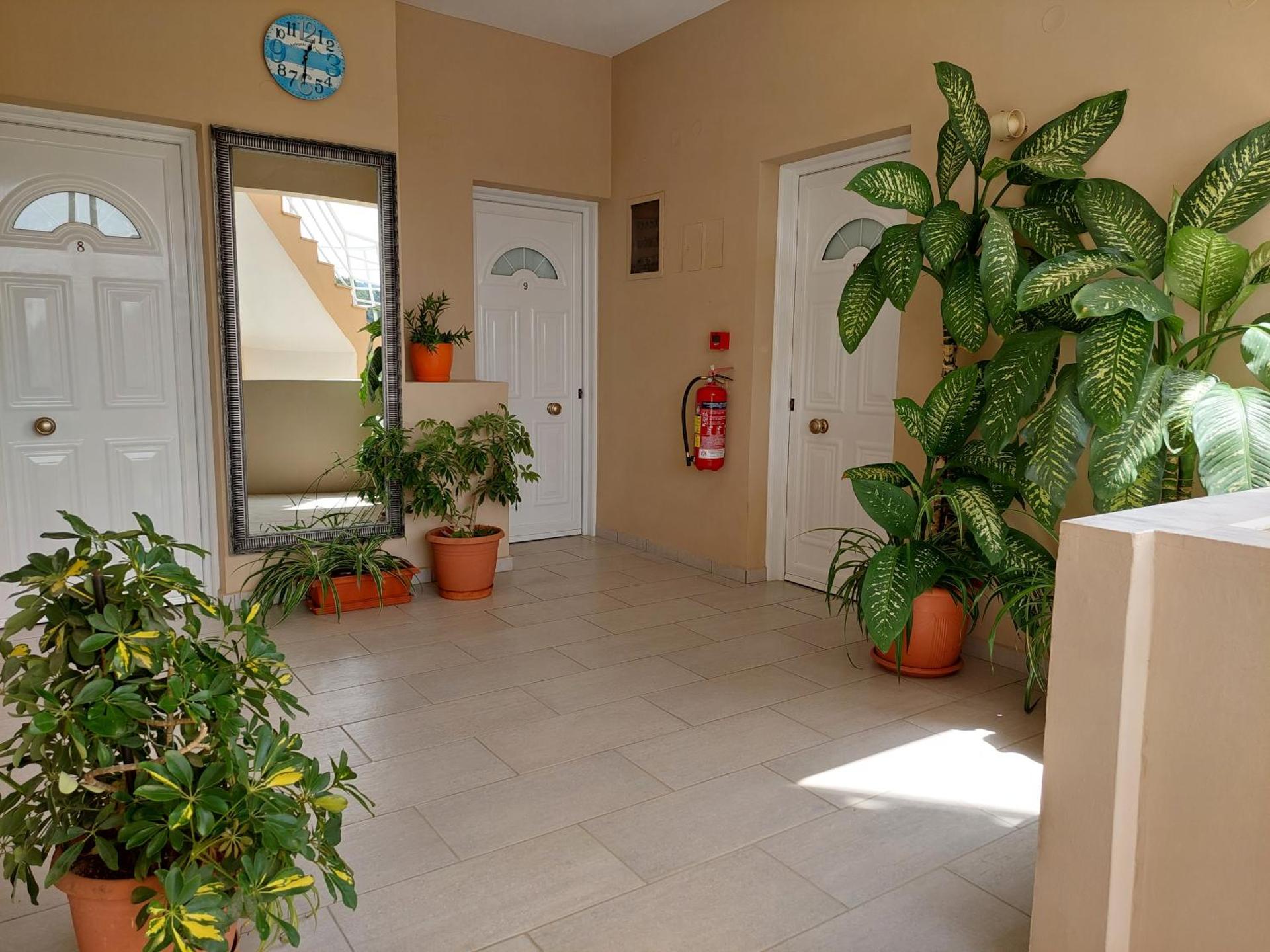 Alexia Apartments & Studios - Photo 15