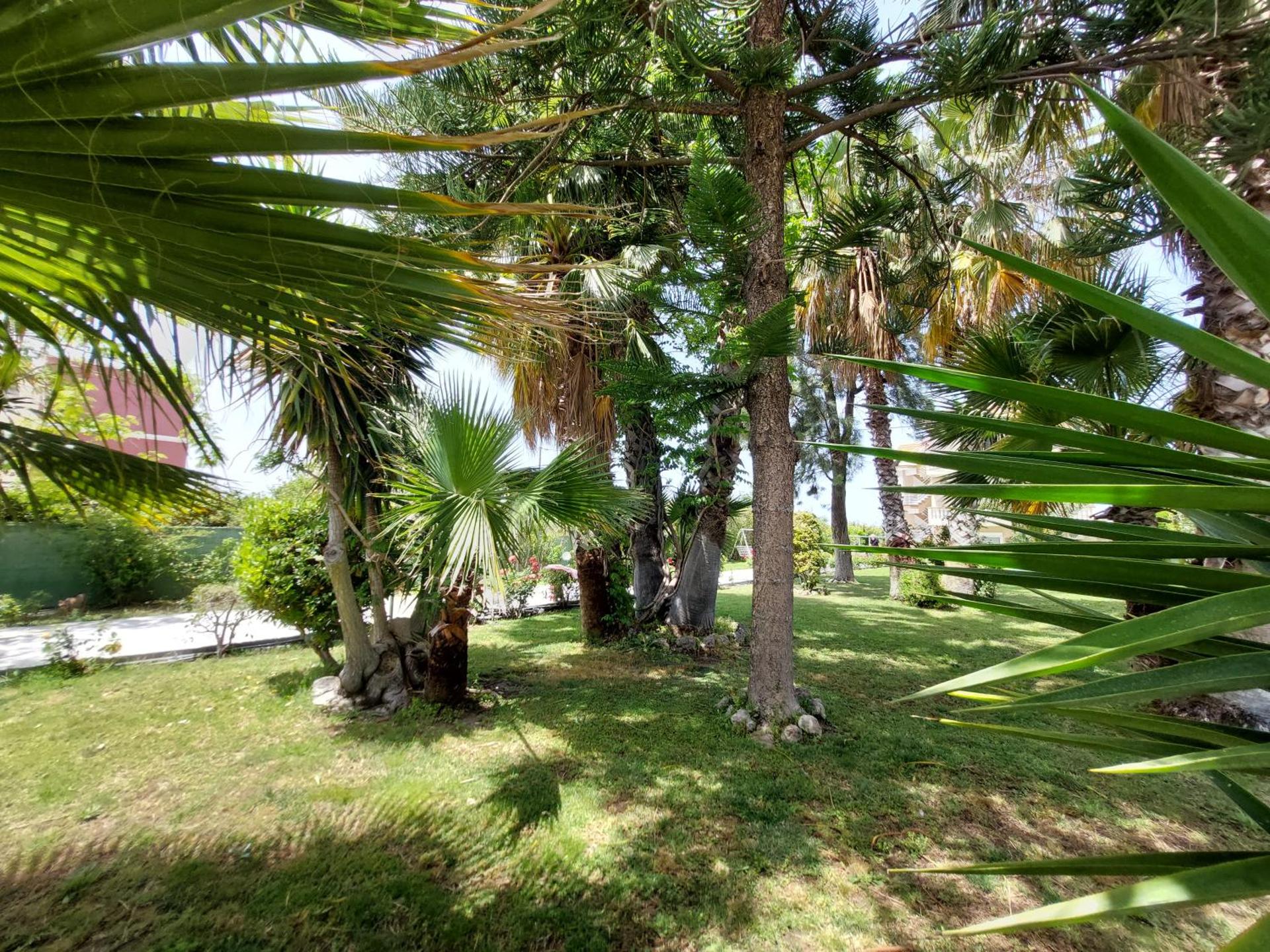 Alexia Apartments & Studios - Photo 18