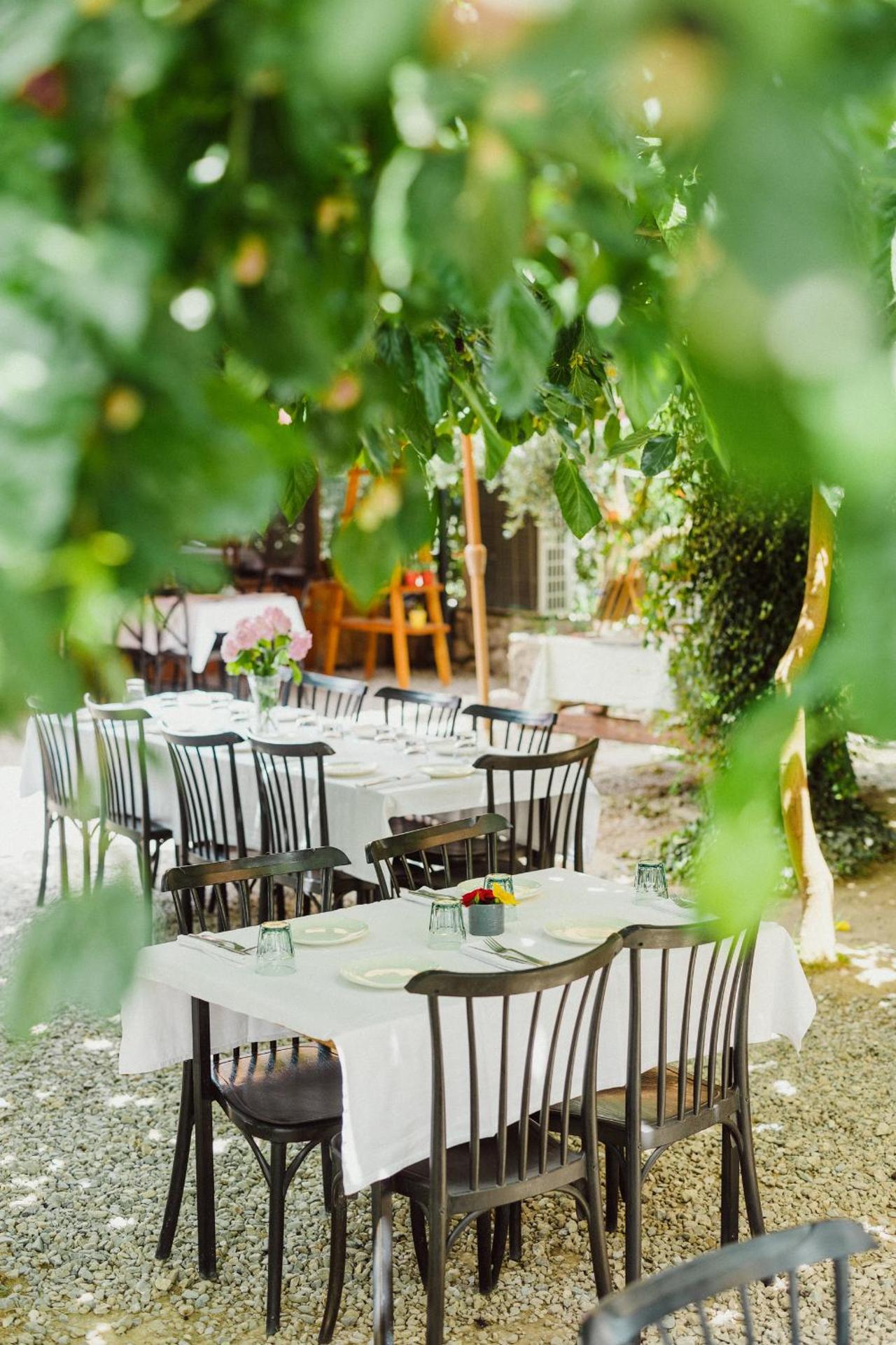 Blerina's Agritourism Concept - Photo 19