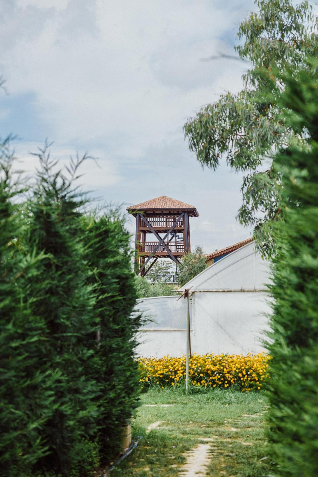 Blerina's Agritourism Concept - Photo 142