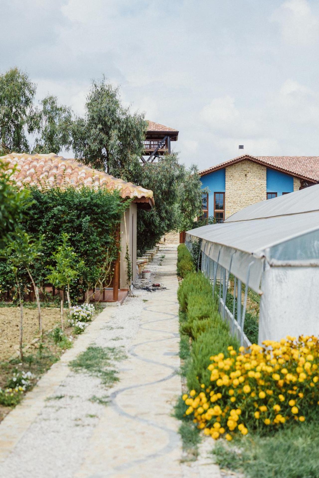 Blerina's Agritourism Concept - Photo 144