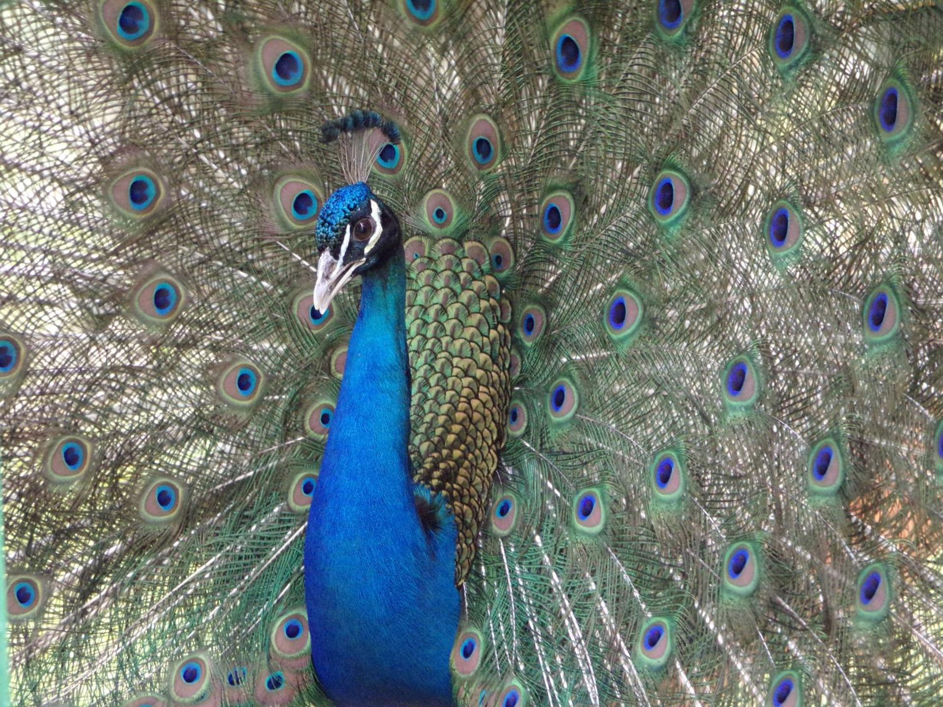 Terme Di Monte Valenza - Photo 23