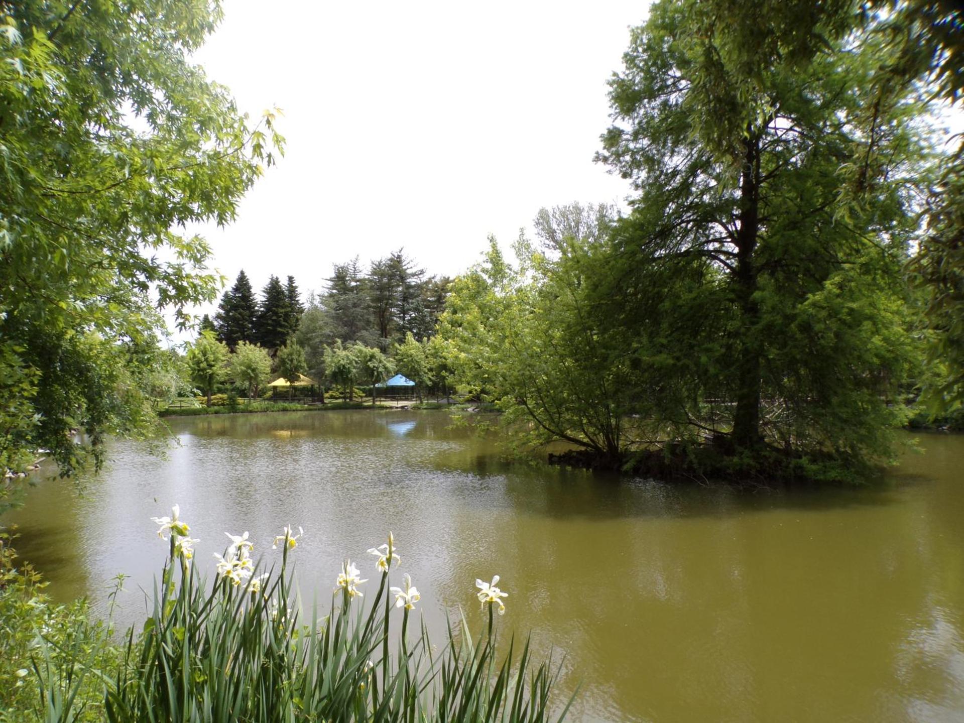 Terme Di Monte Valenza - Photo 27