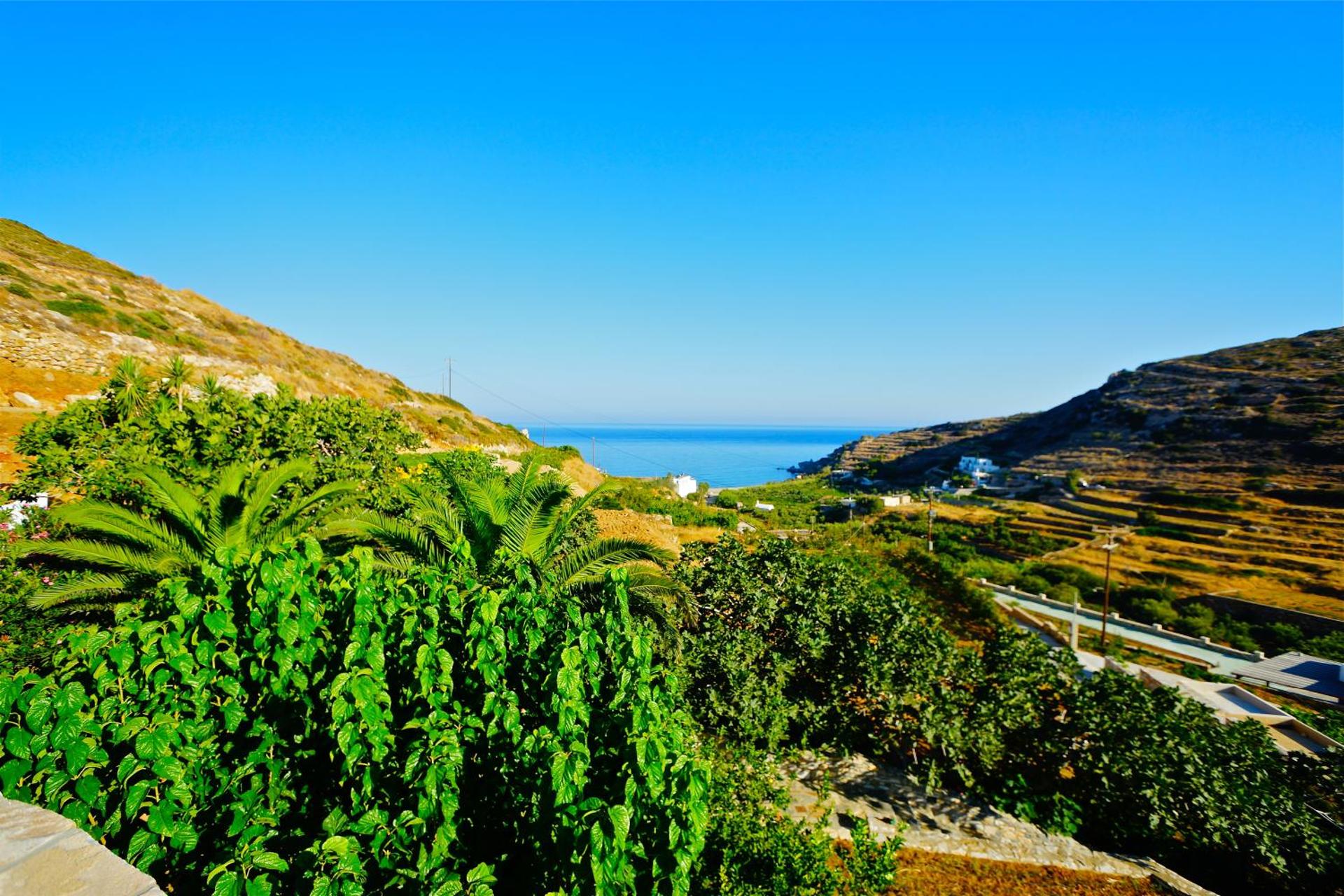Petrino - Photo 80