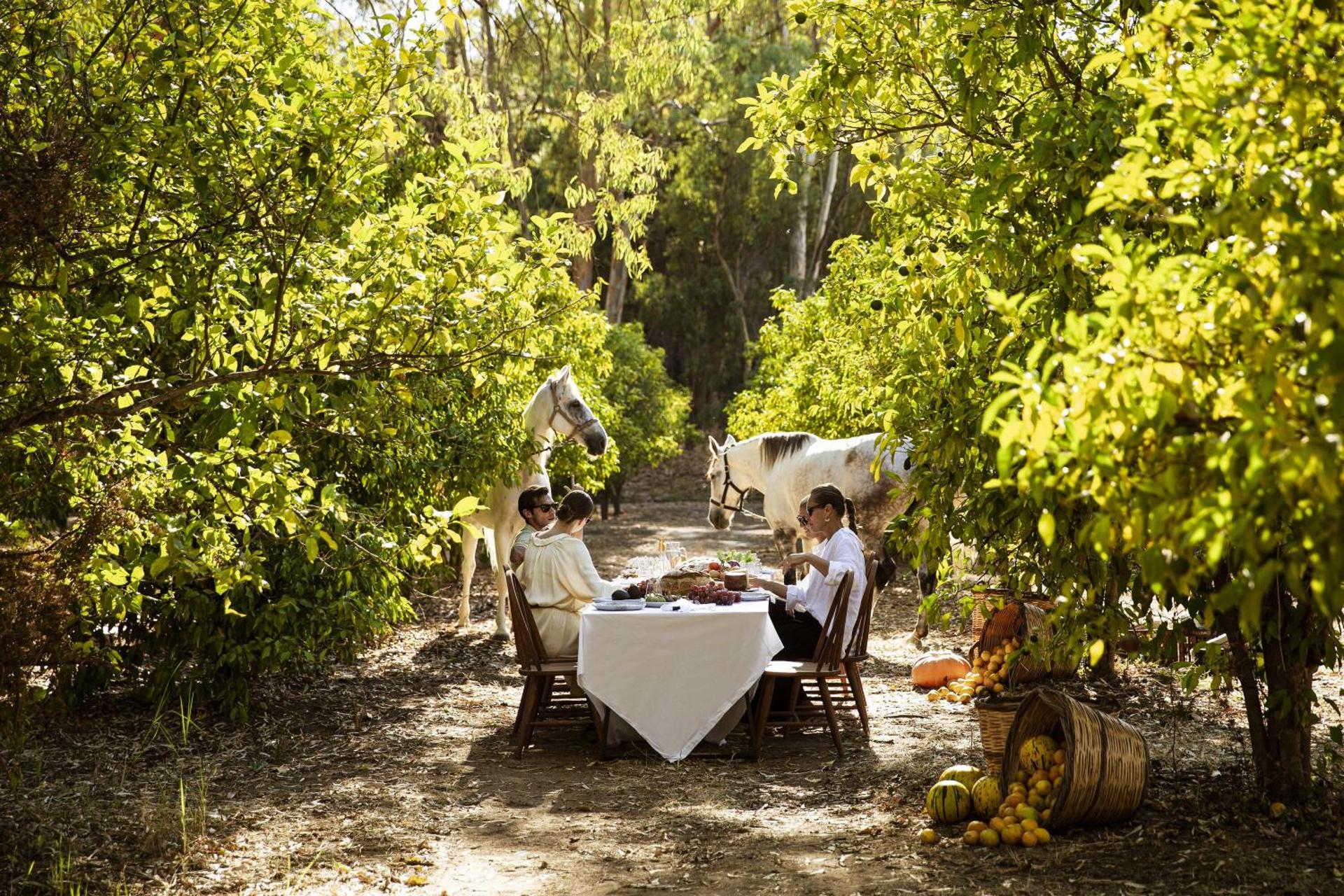 Domes Aulūs Zante, All Inclusive, Autograph Collection - Photo 5