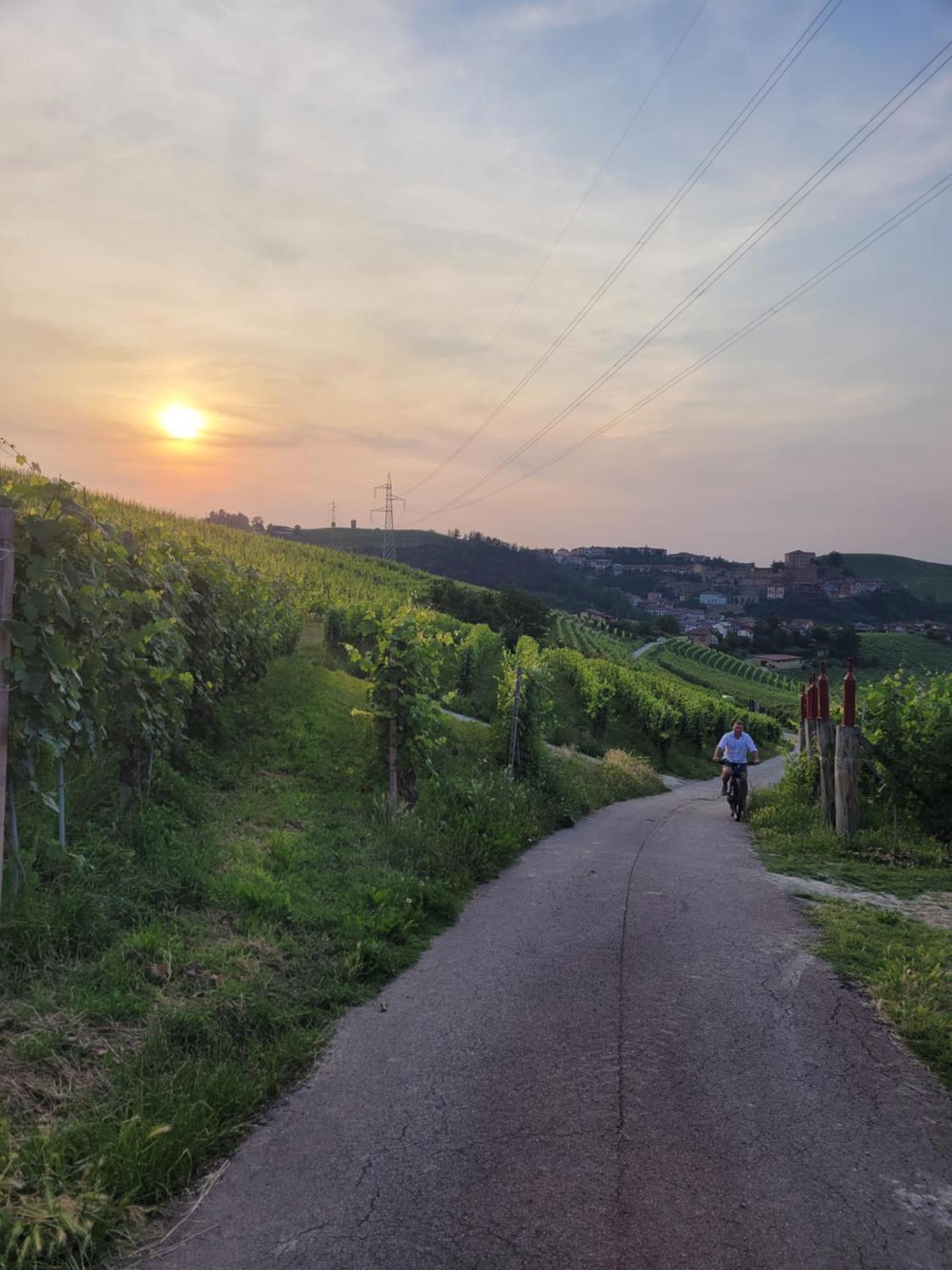 Villa Laura - Photo 71