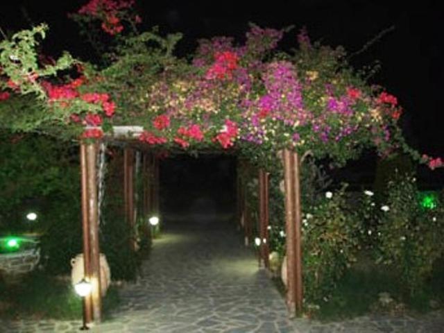 Deep Blue Studios - Photo 10