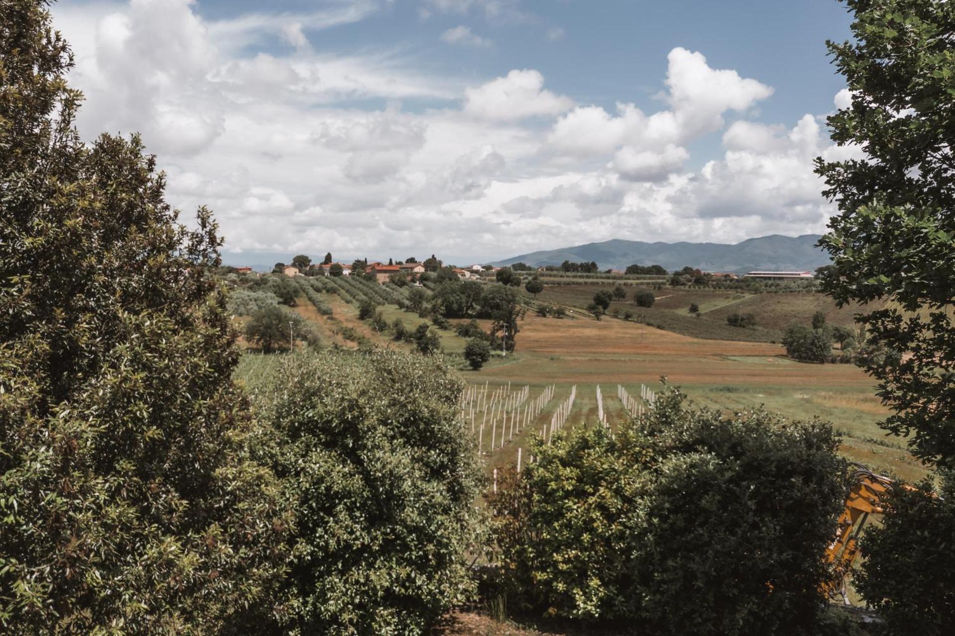 Agriturismo S.Angelo - Photo 41