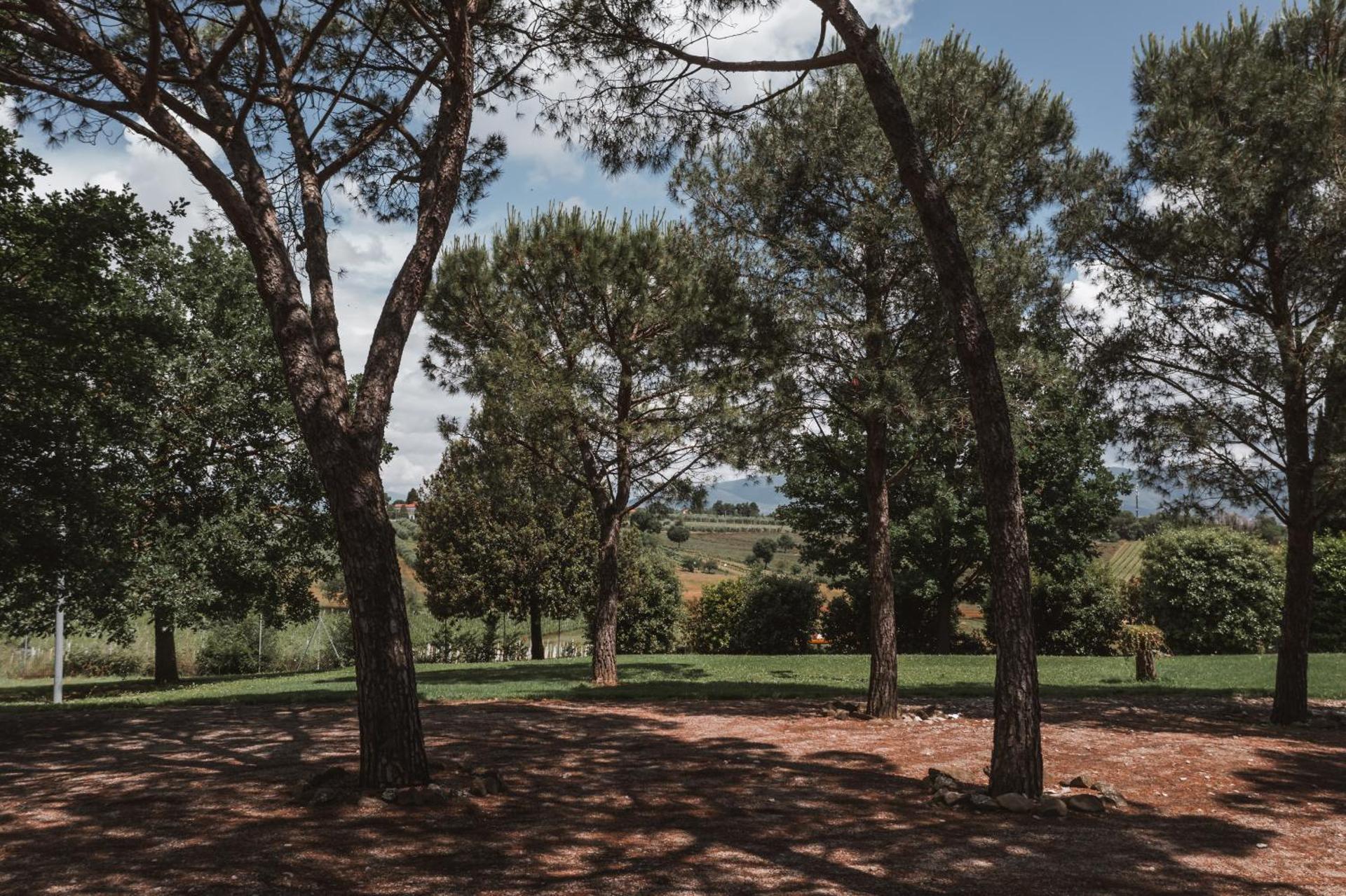 Agriturismo S.Angelo - Photo 40