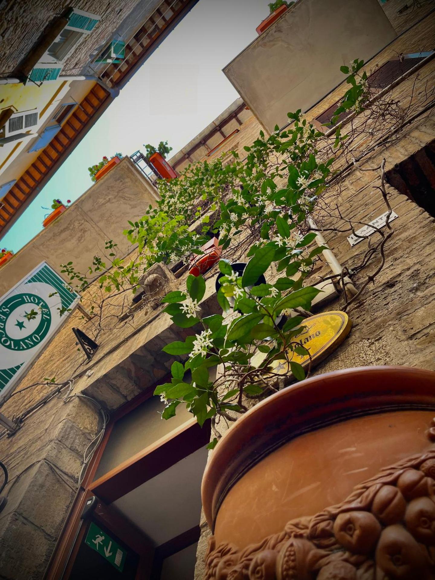 Hotel S. Ercolano - Photo 5