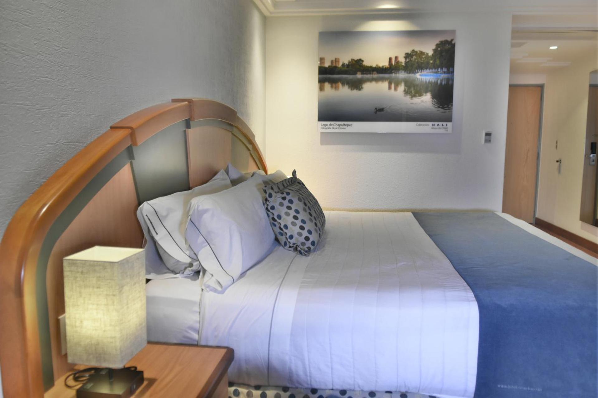 KALI Escandón Mexico City - Photo 3