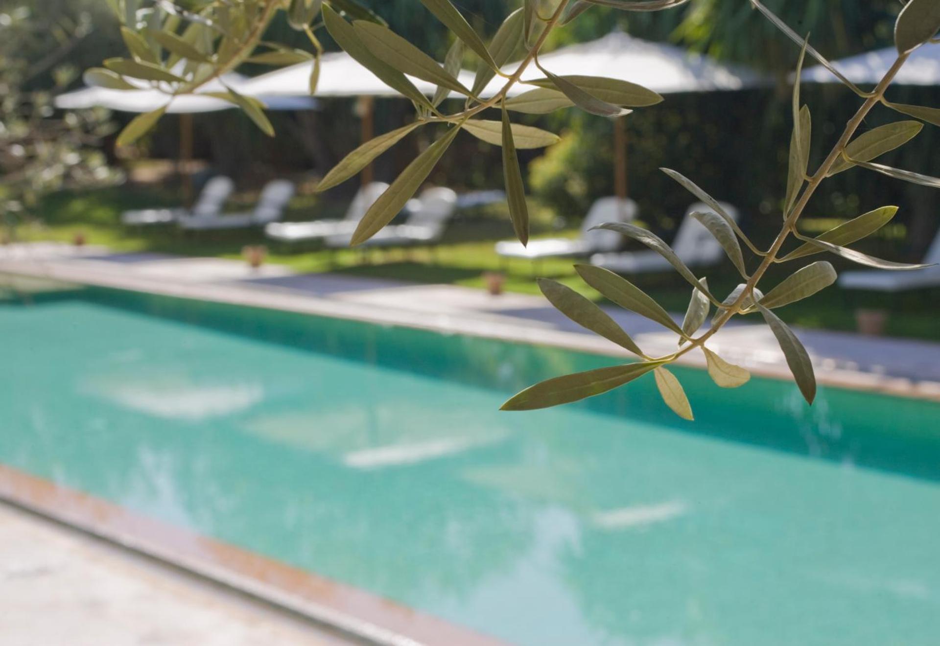 Les Deux Tours - Photo 79