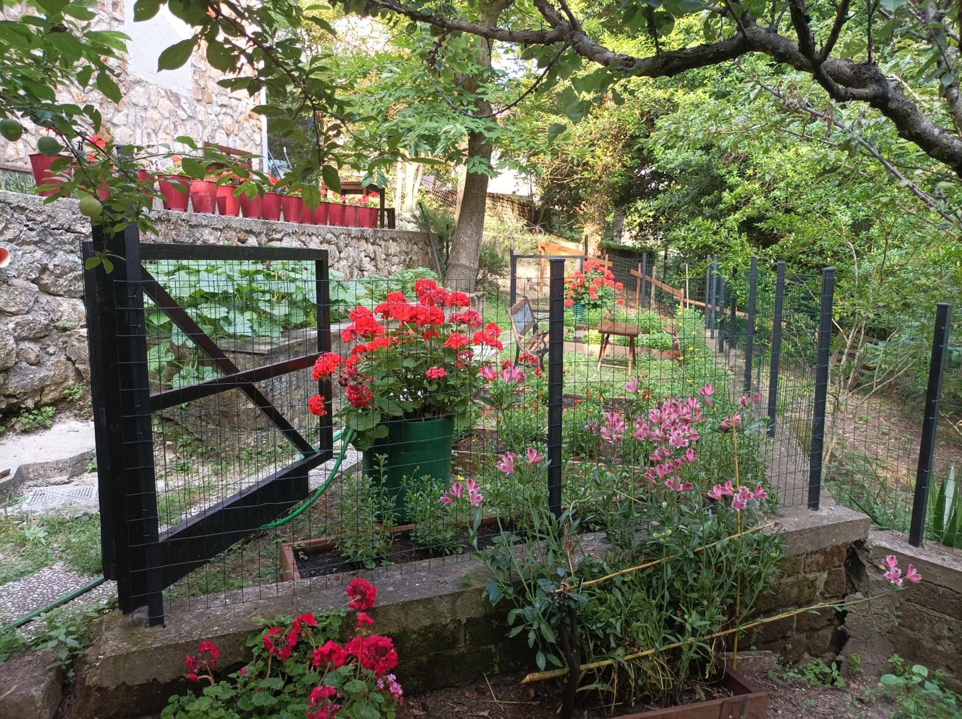 Casa dei Faggi - Photo 3