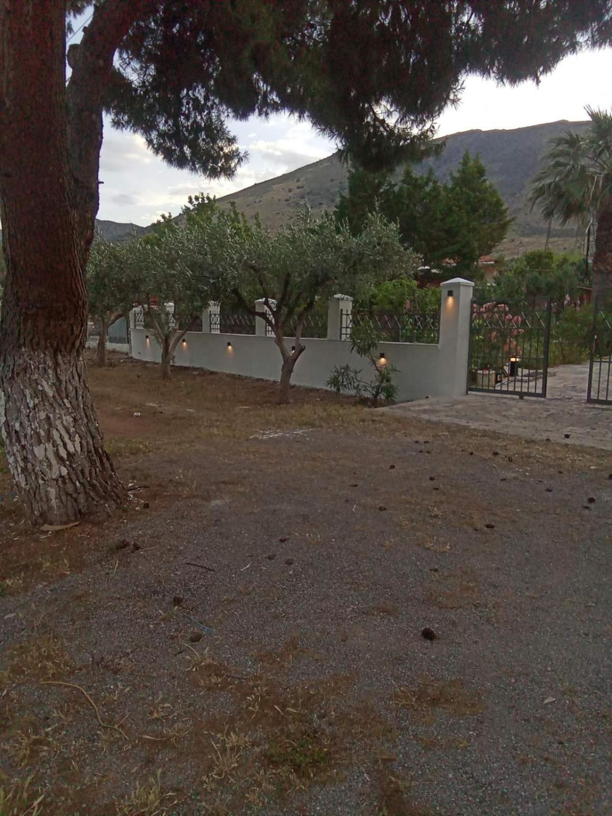 Elea Guesthouse - Photo 47