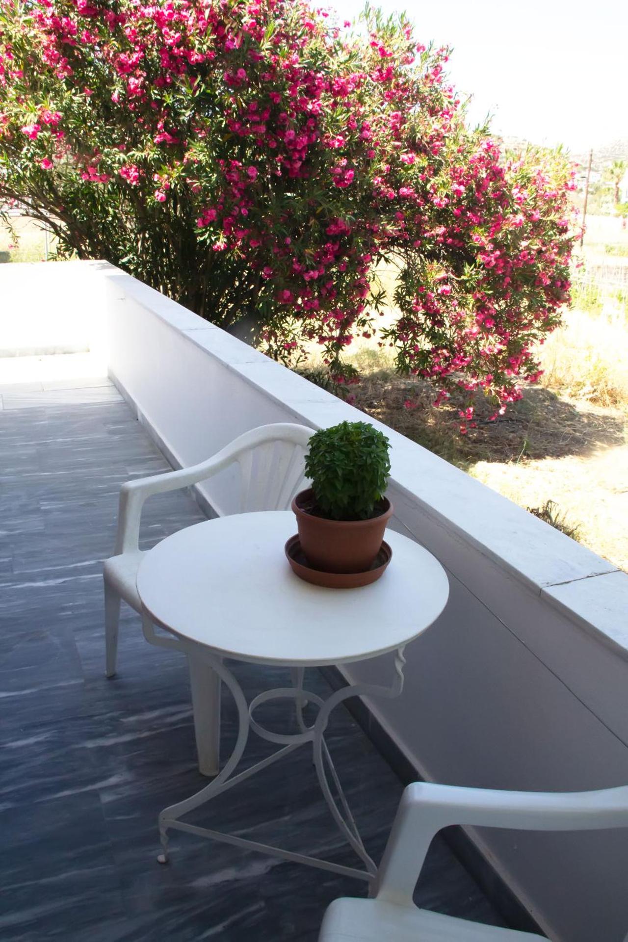 Aristidis - Photo 70