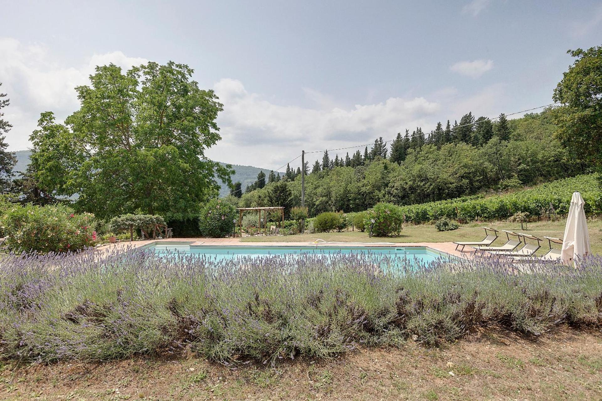 Podere Vignola - Photo 36