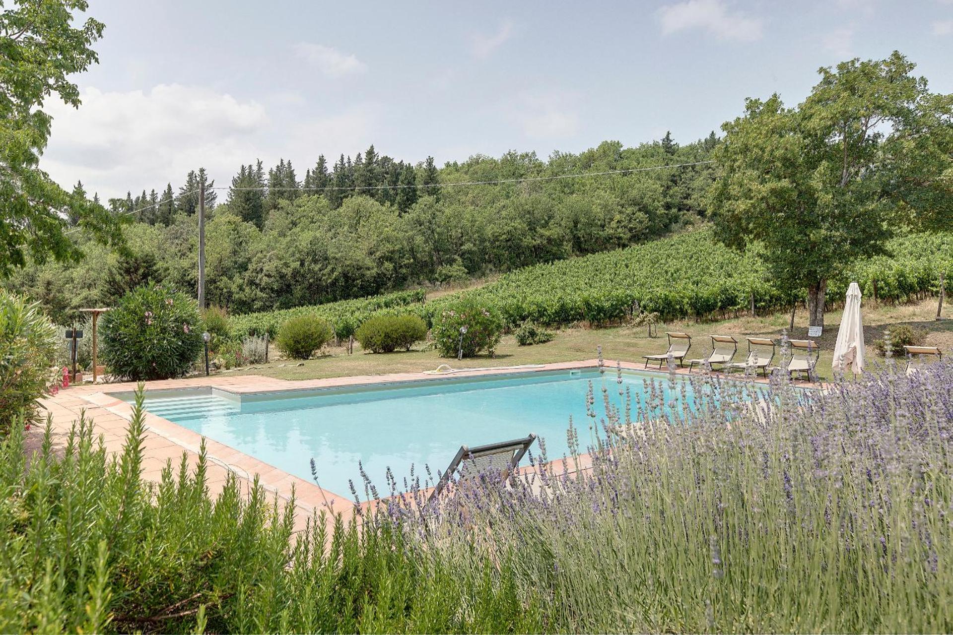 Podere Vignola - Photo 41