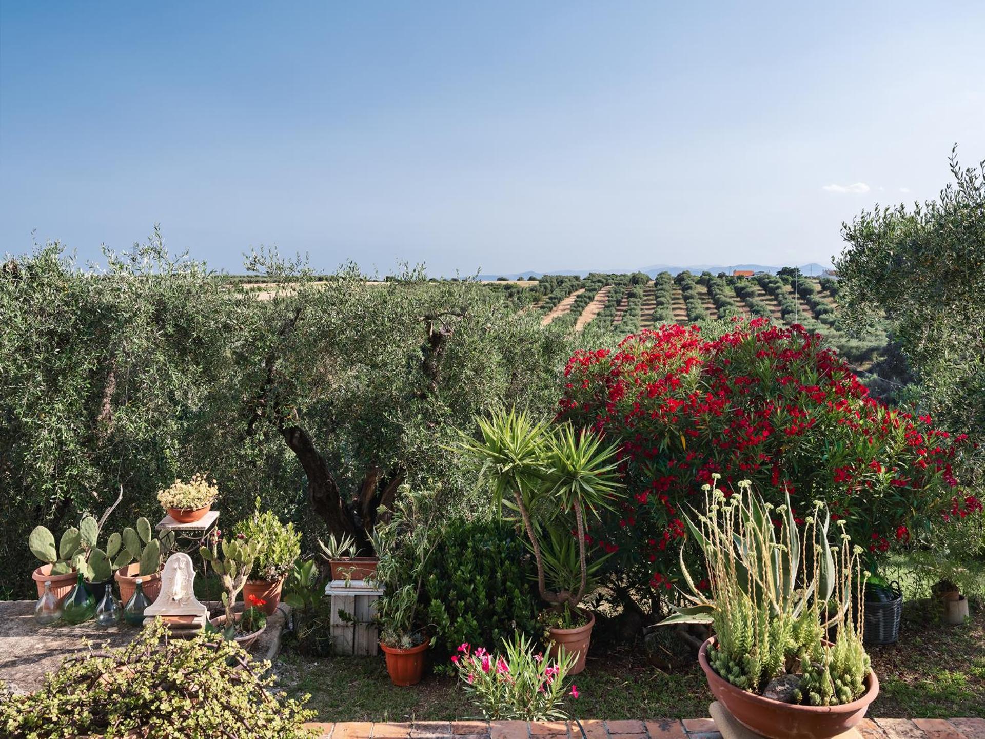 Villa Antonella - Photo 6