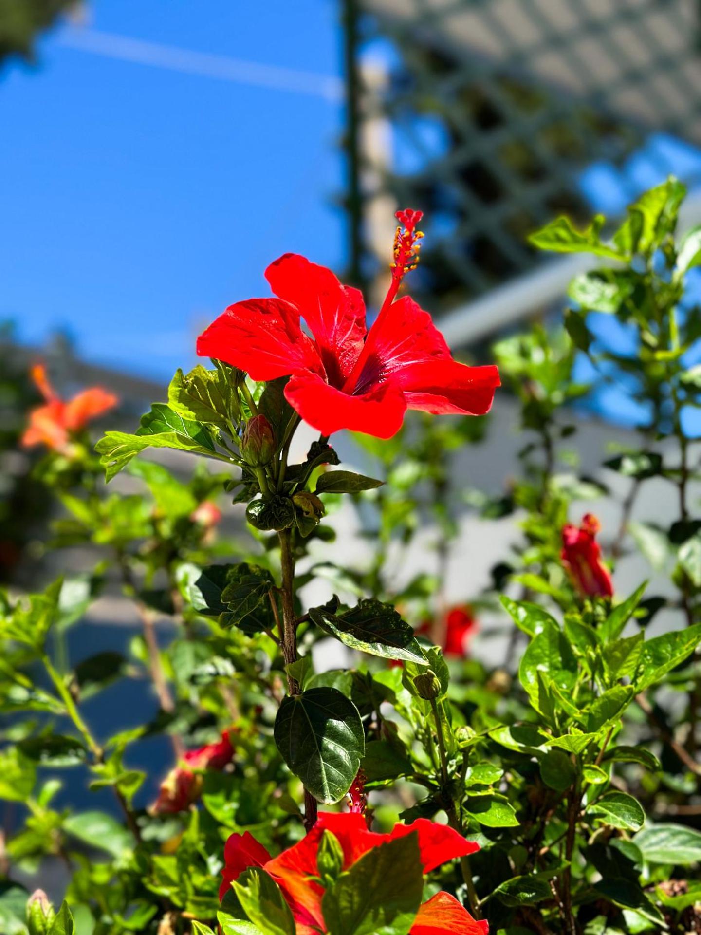 Salora Studio-Apartments - Photo 29