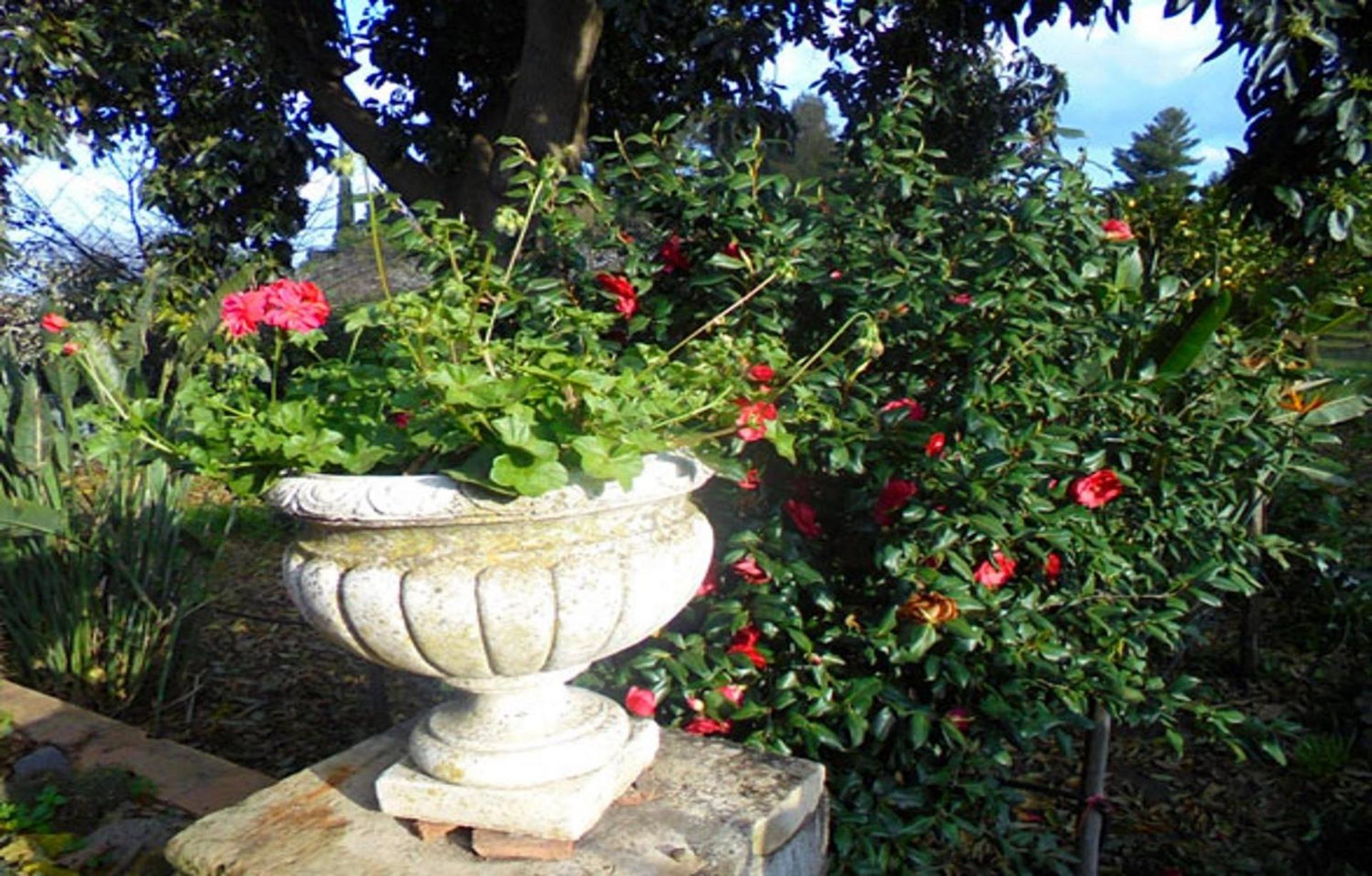 Baglio Delle Rose - Photo 47