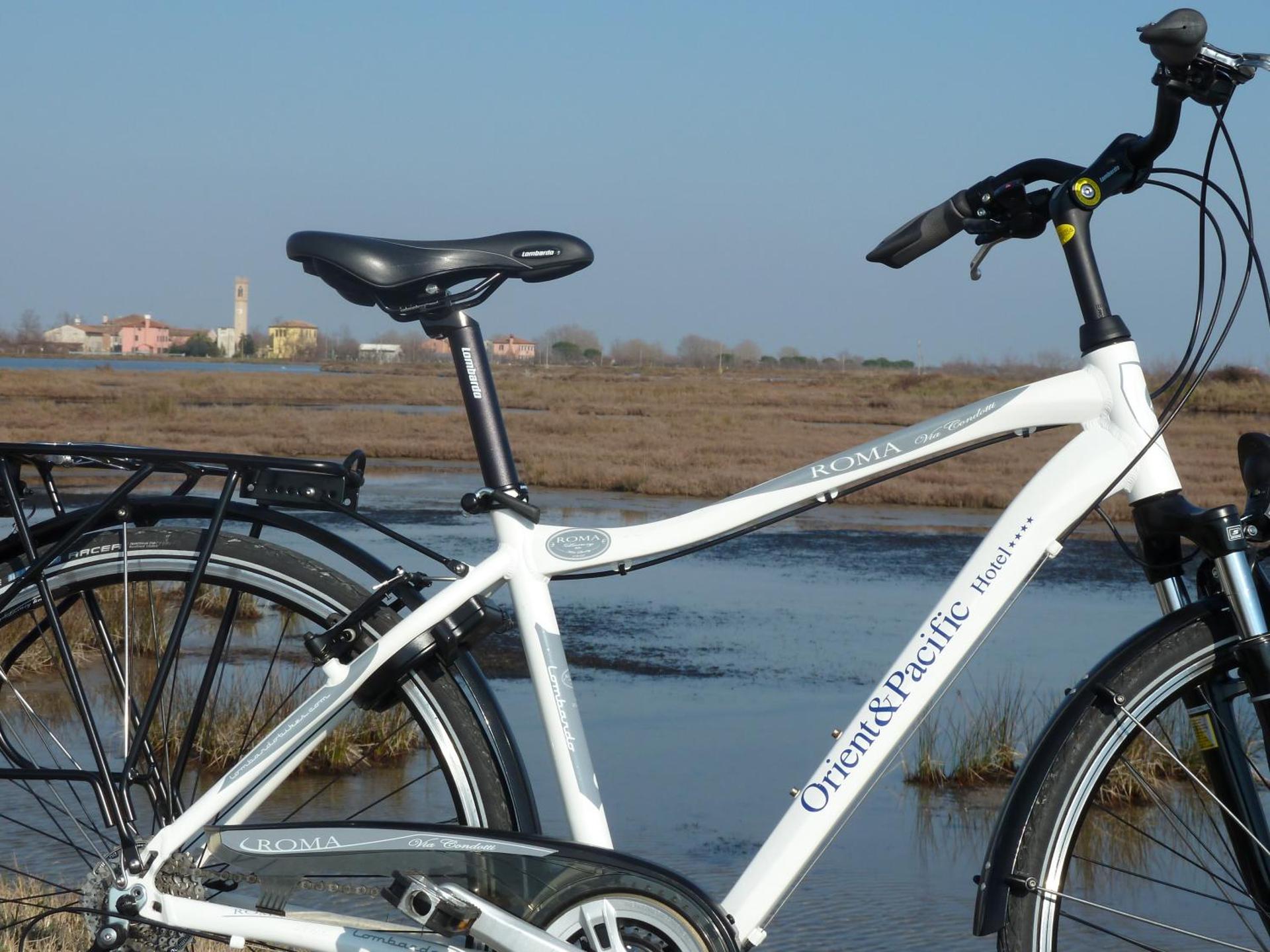 Hotel Orient & Pacific - Photo 38