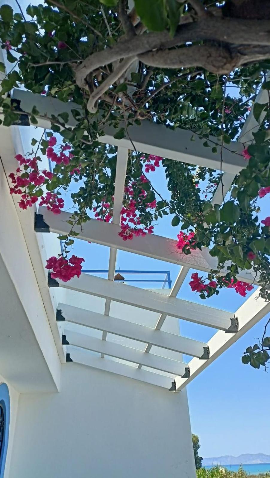 Nautilus Beach House - Photo 31