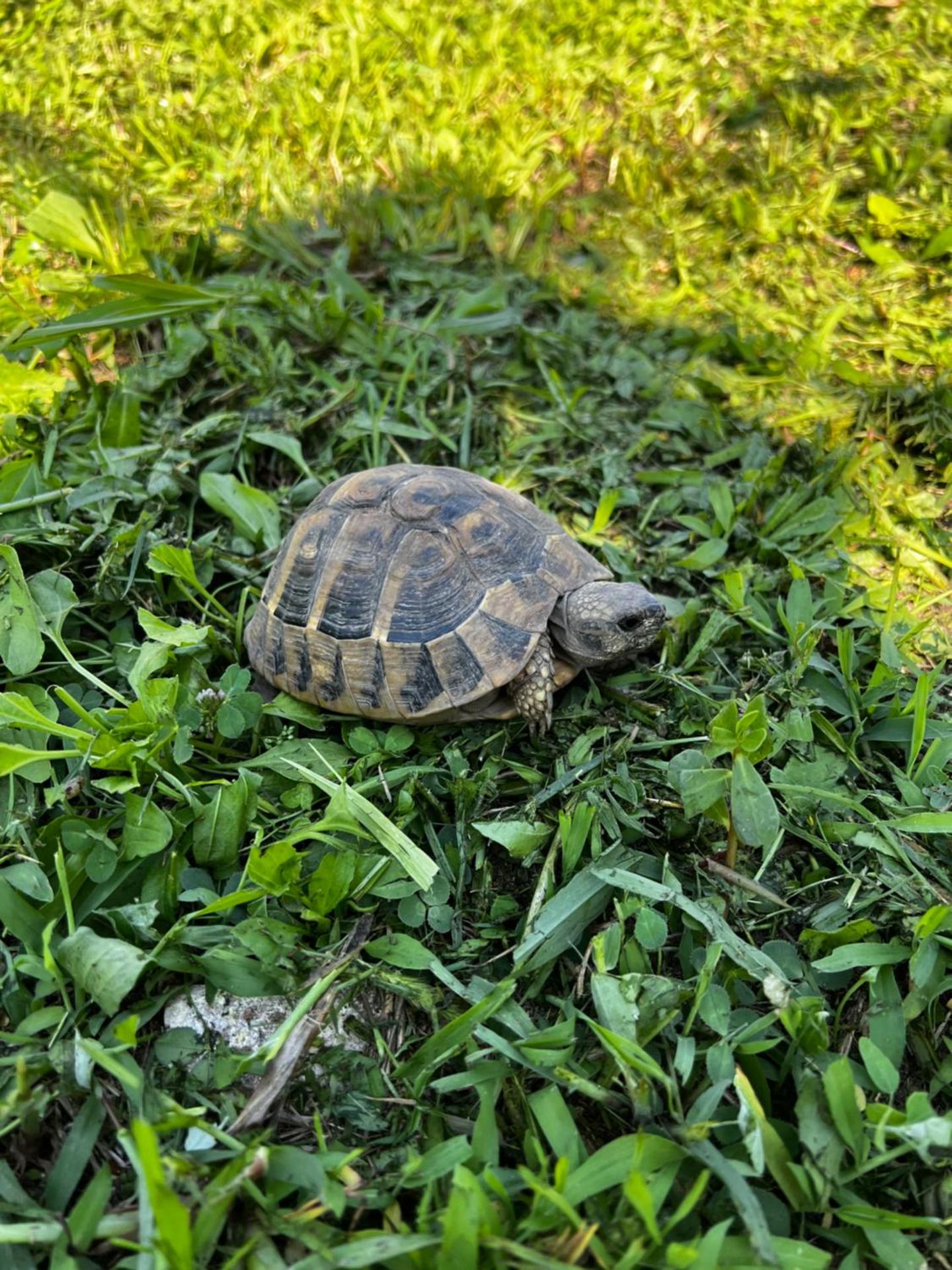 Chateau Sukaj - Photo 45